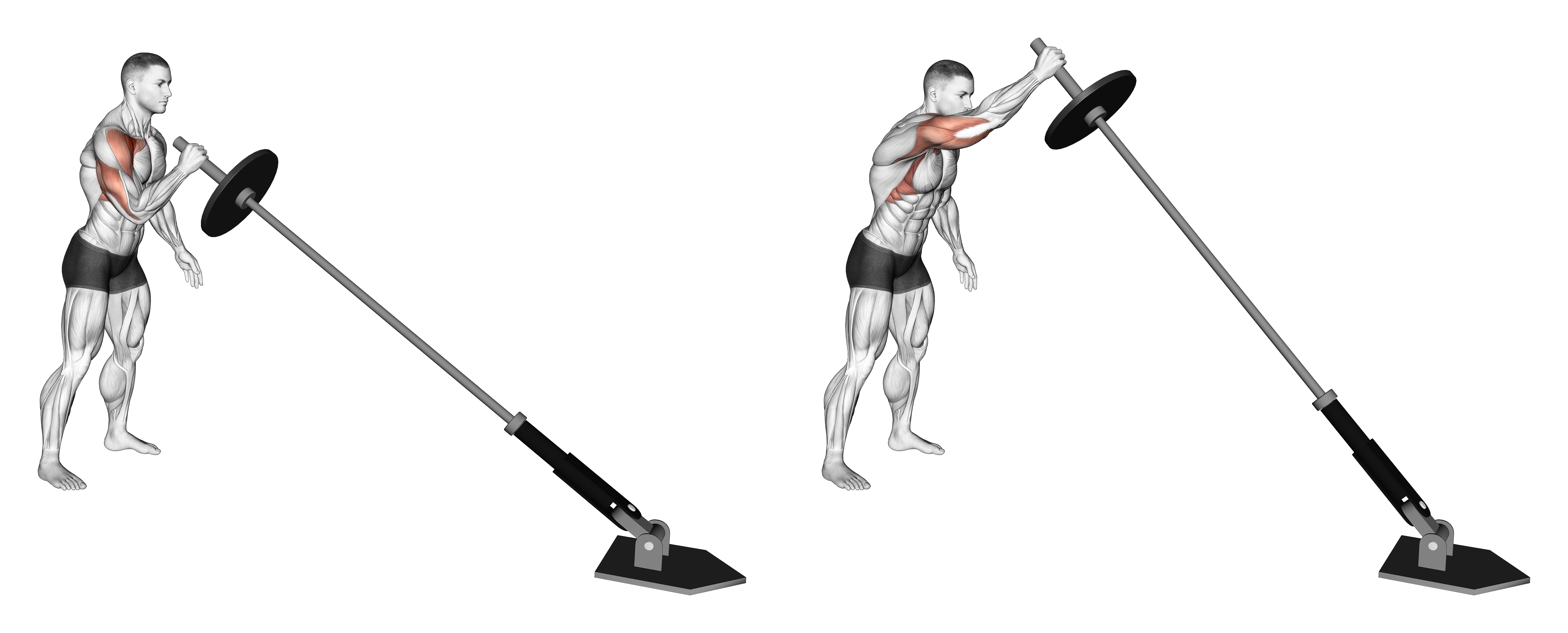 Landmine Single Arm Press