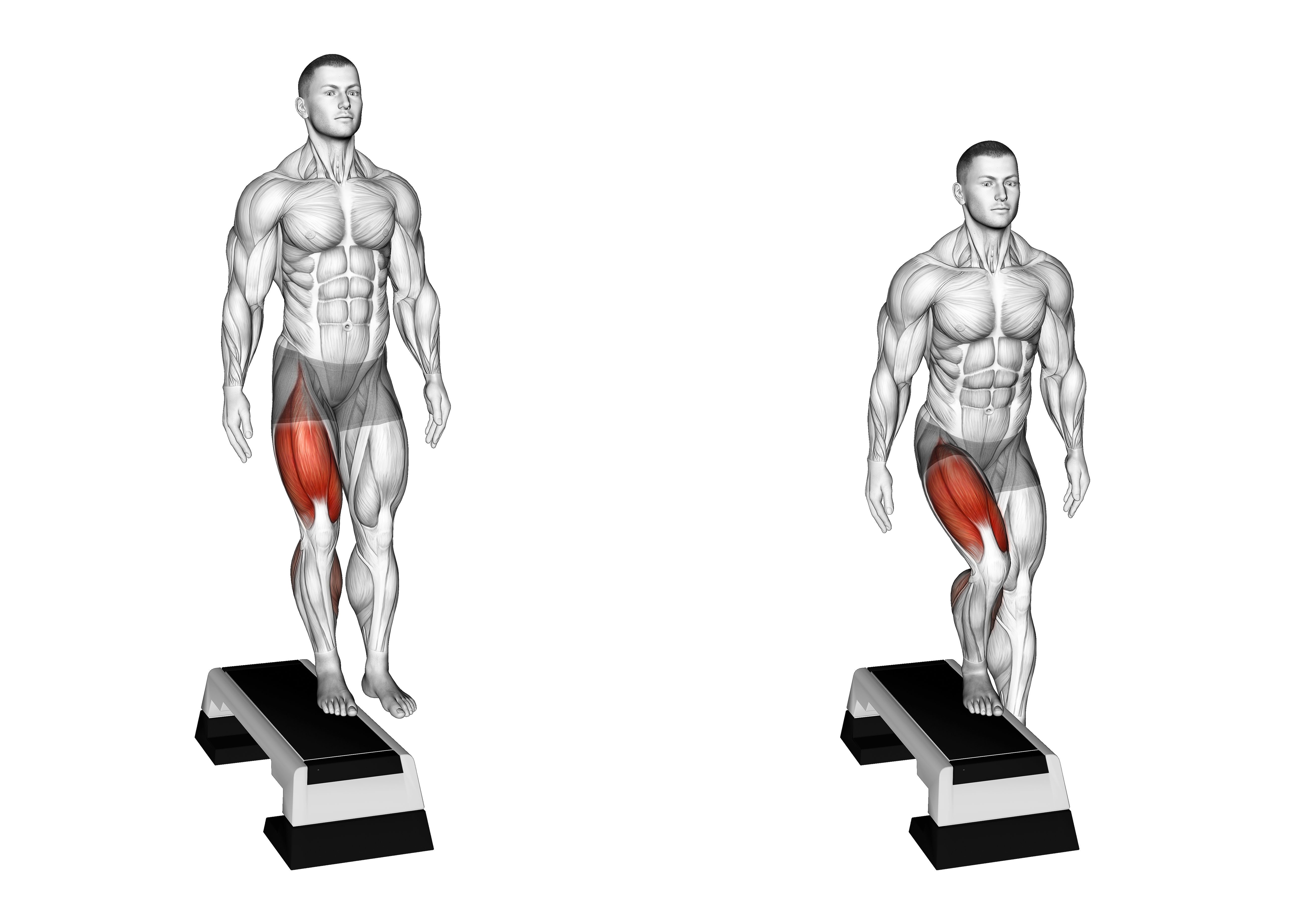 Lateral Step Up