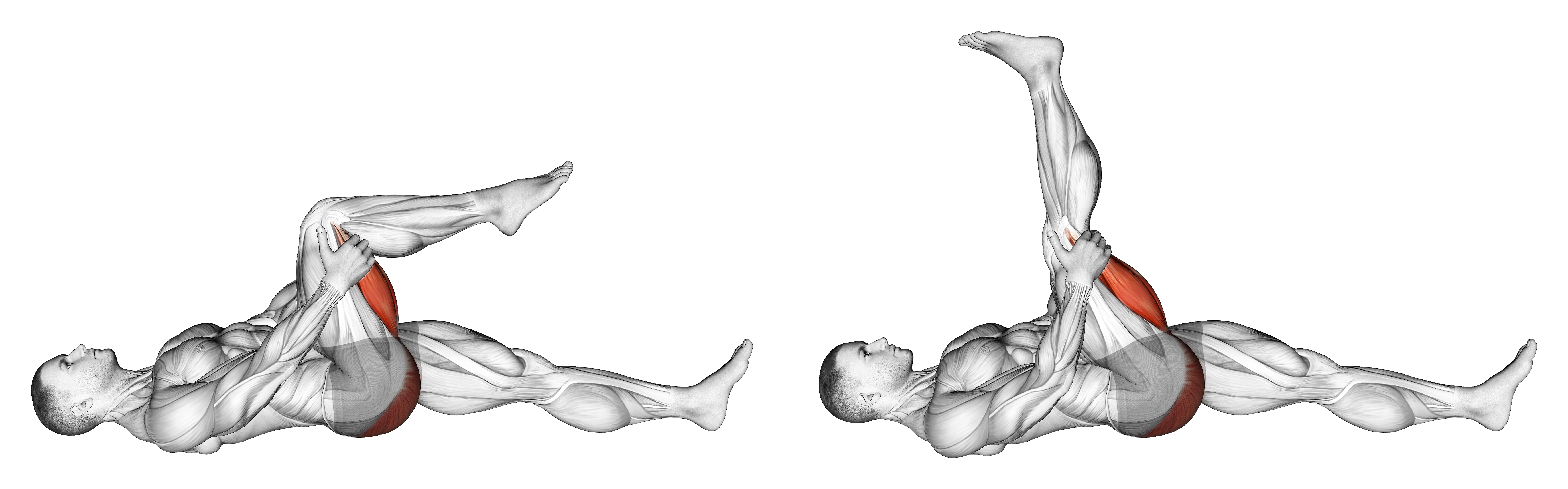Leg Up Hamstring Stretch