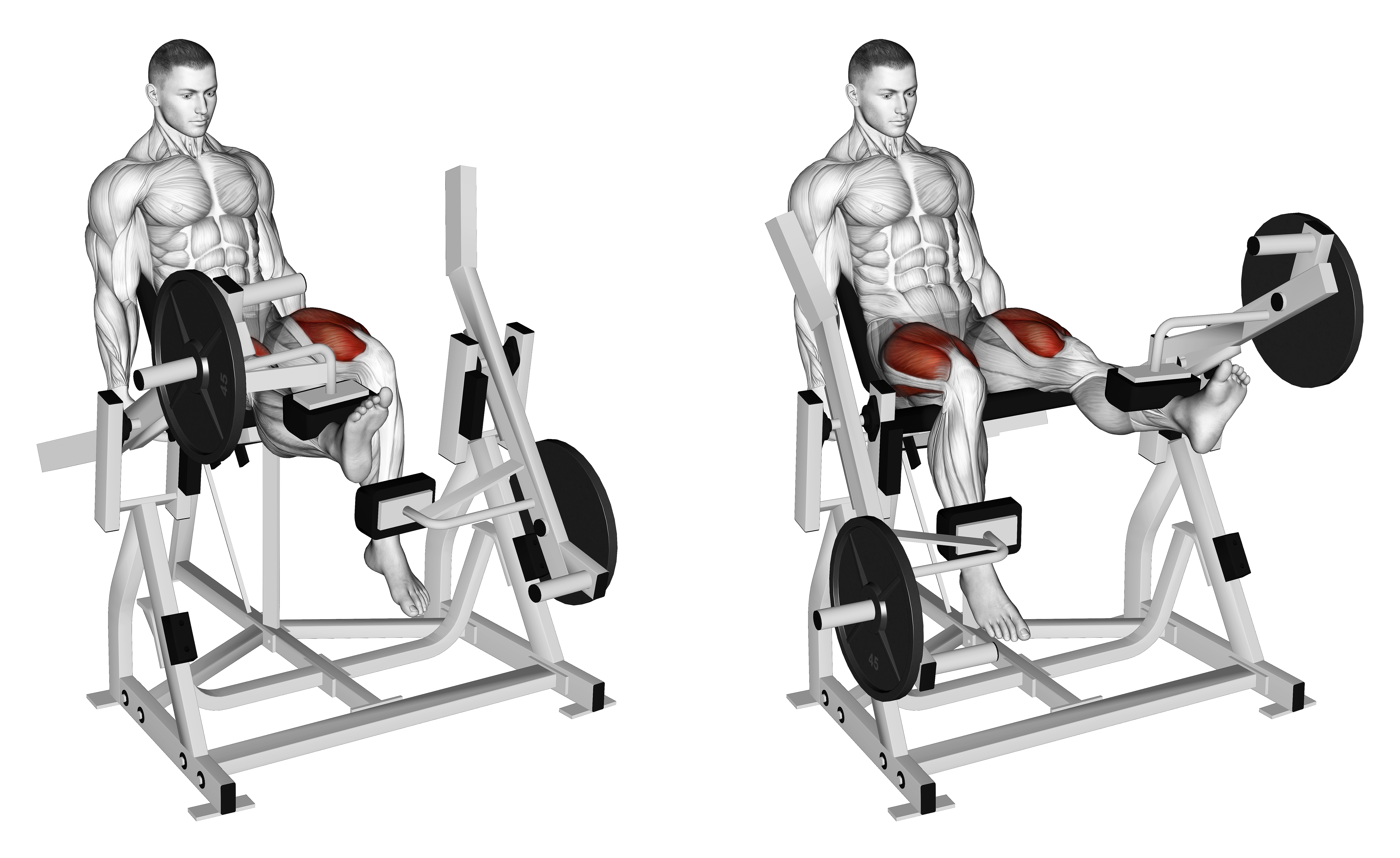Lever Alternate Leg Extension