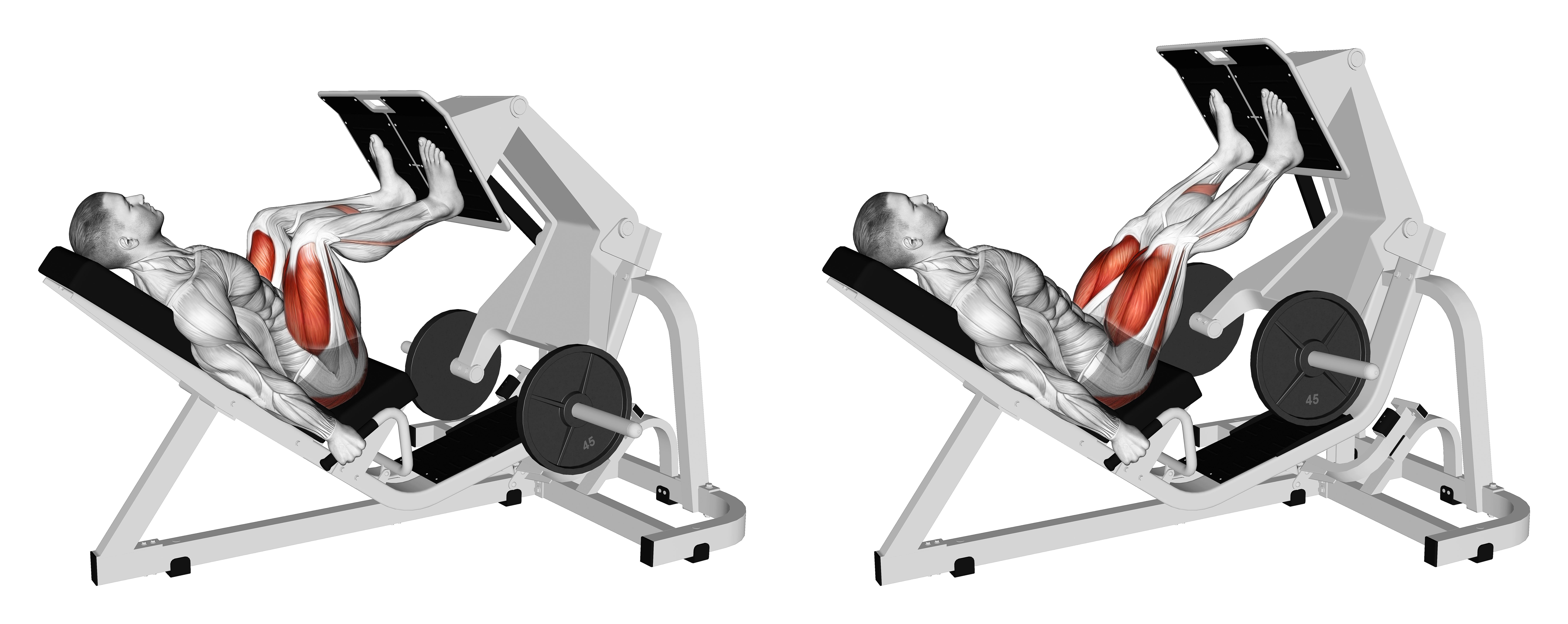 Lever Angled Leg Press