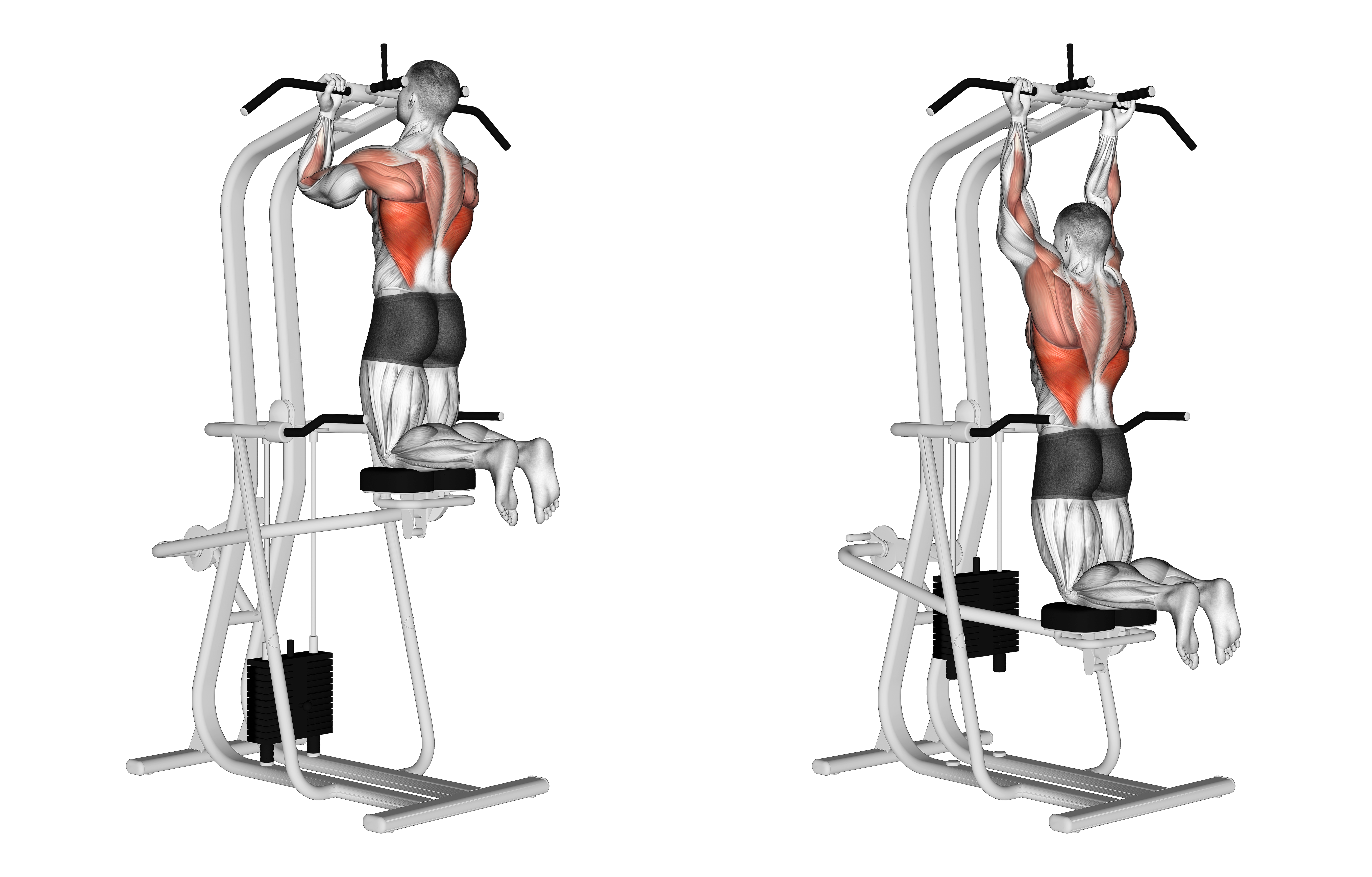 Lever Assisted Chin Up