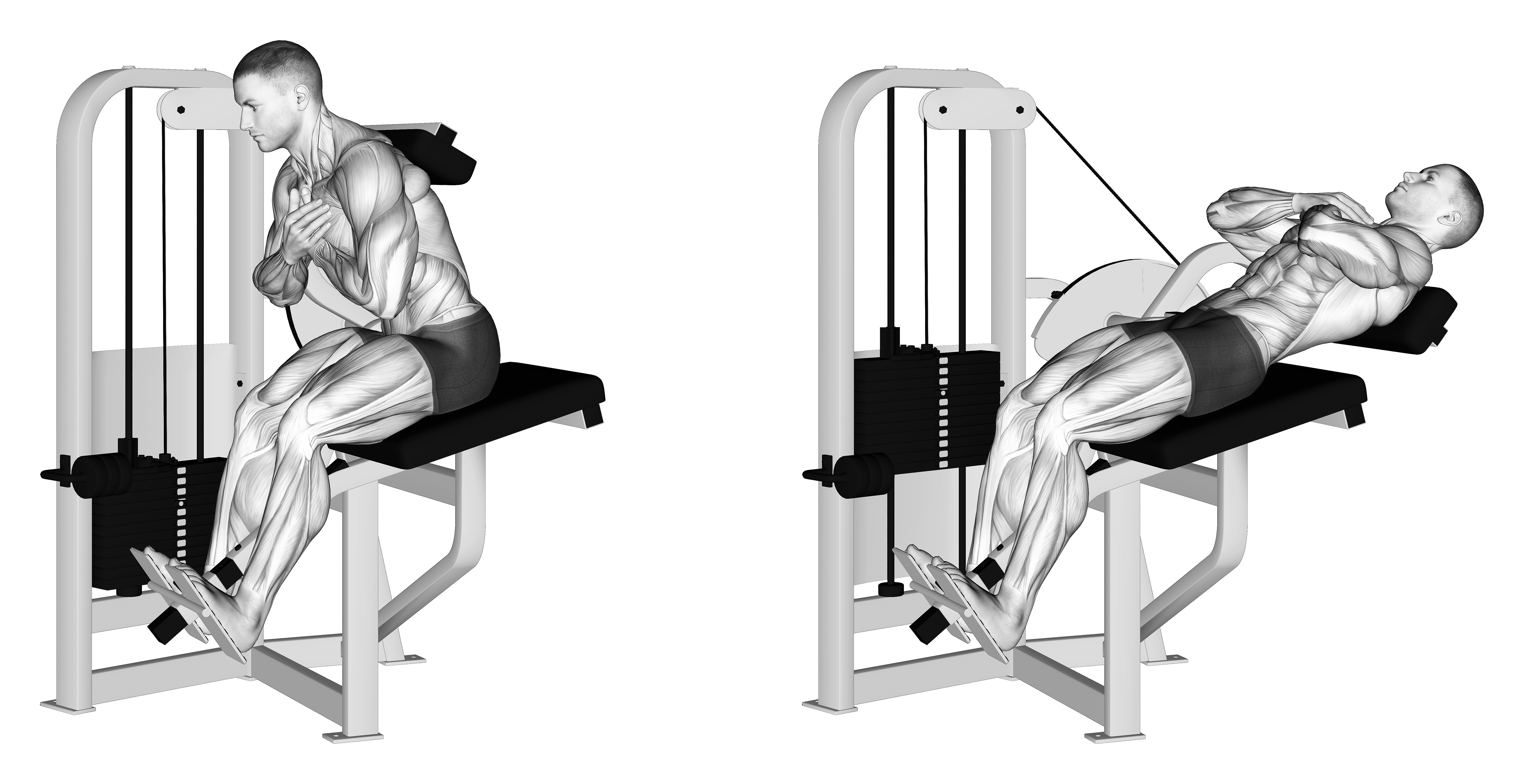 Lever Back Extension (version 2)