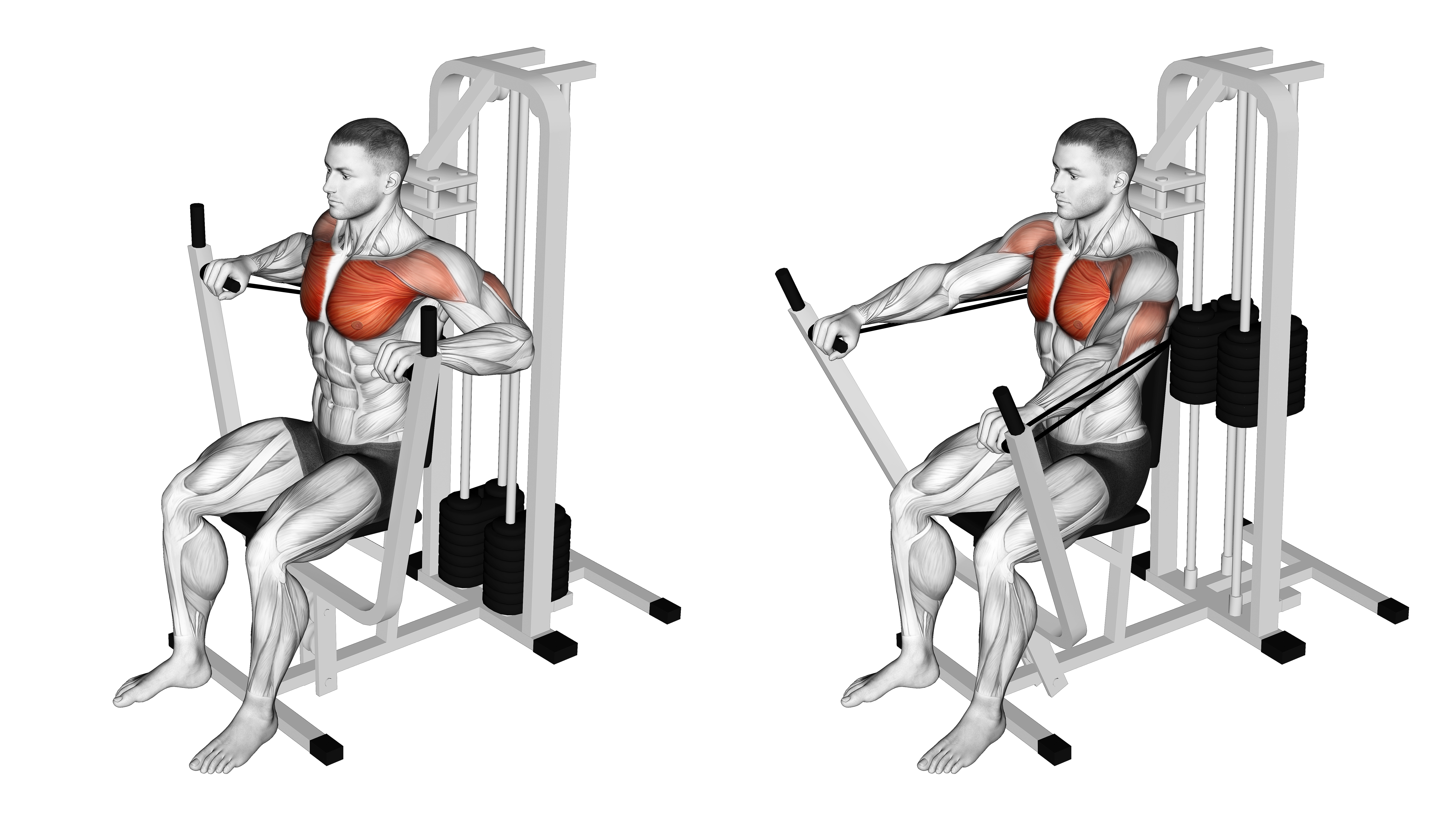 Lever Banded Chest Press