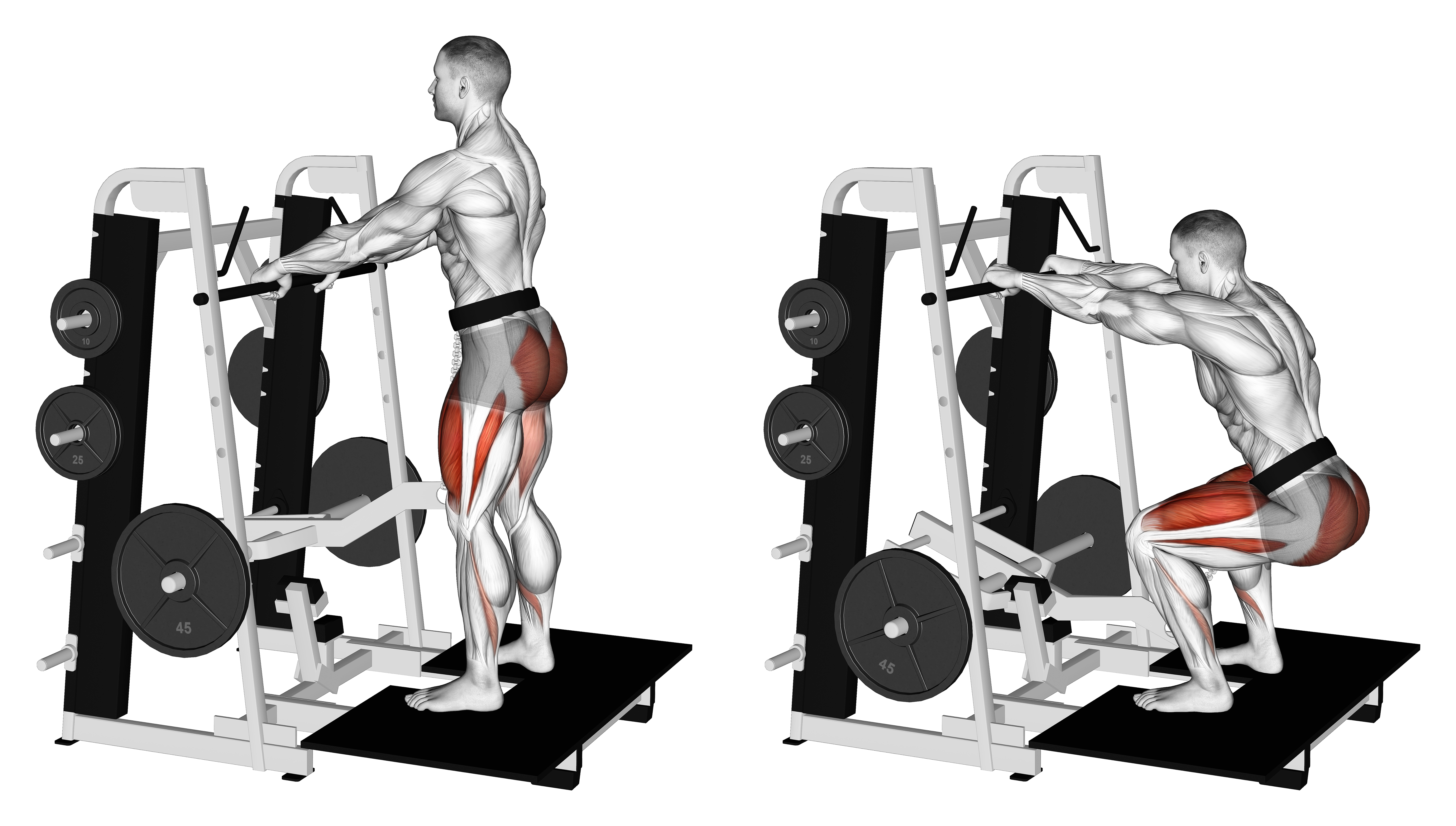 Lever Belt Squat