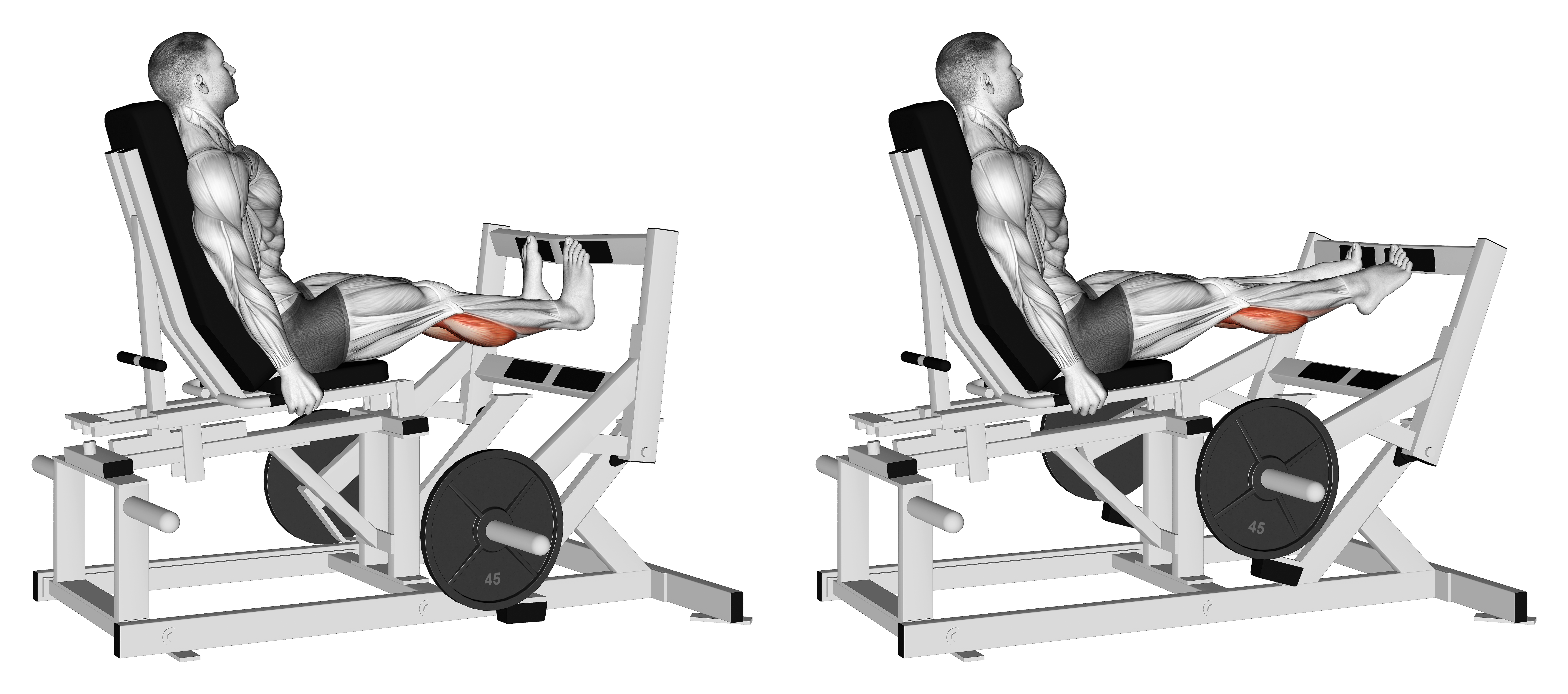 Lever Calf Press (plate Loaded)