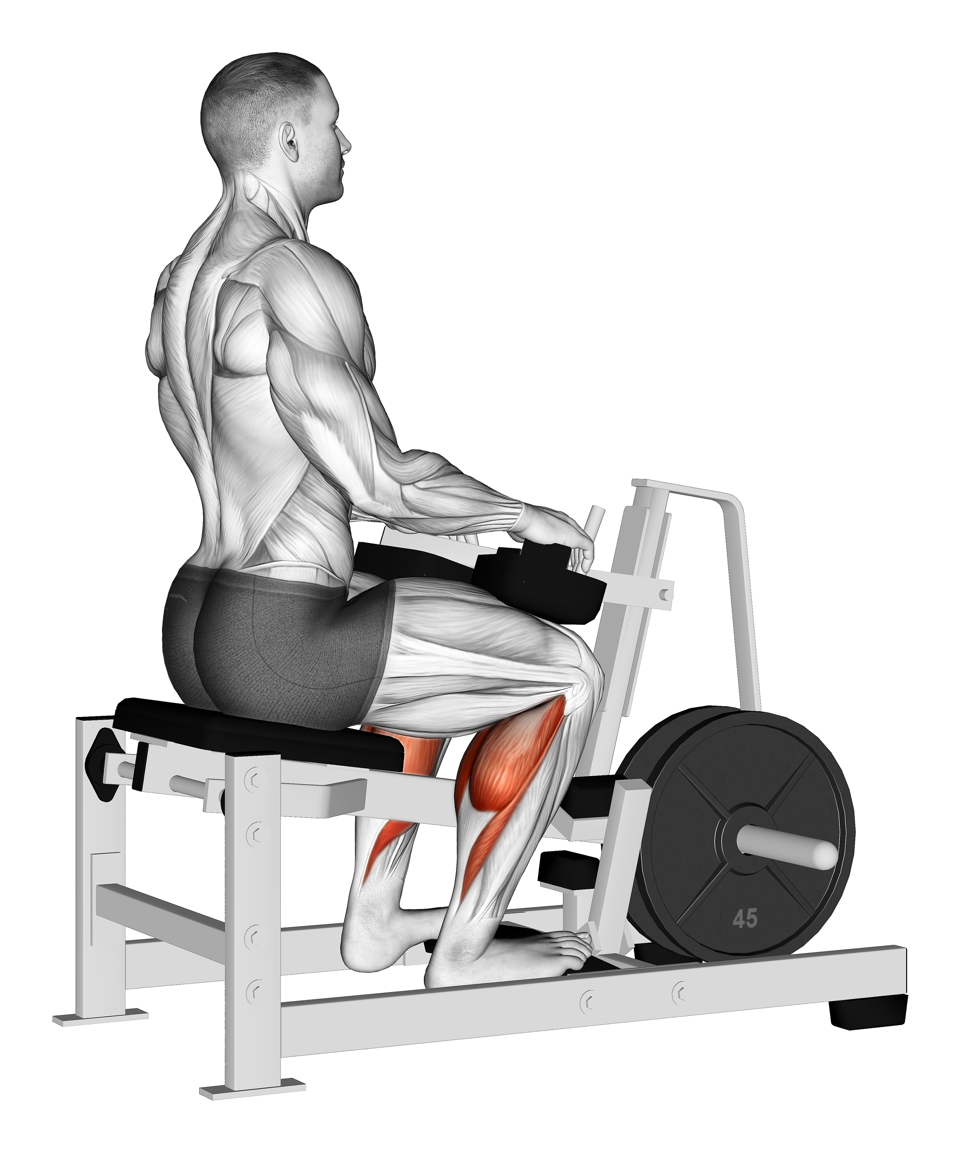 Lever Calf Stretch Plate Loaded 