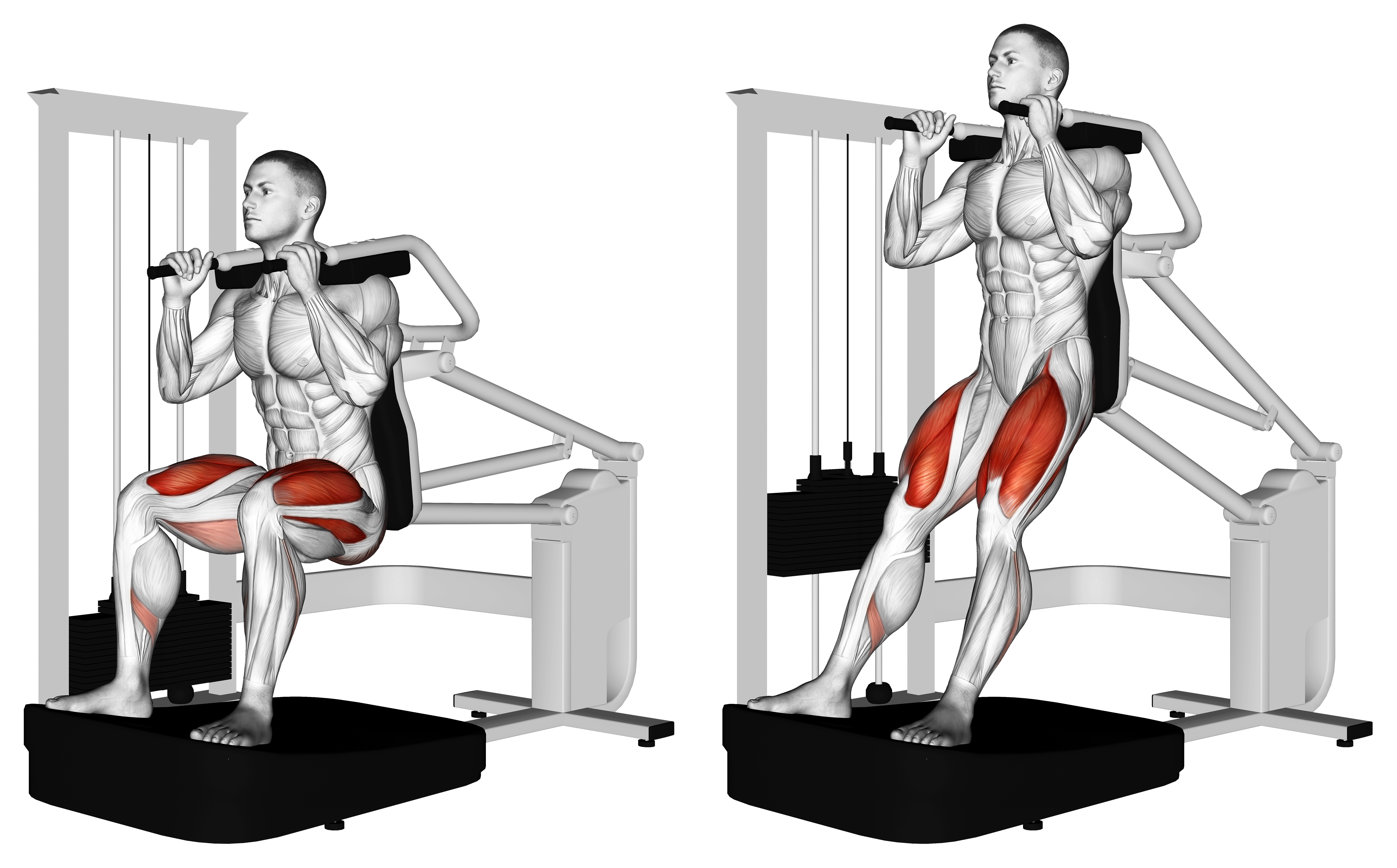 Lever Chair Squat