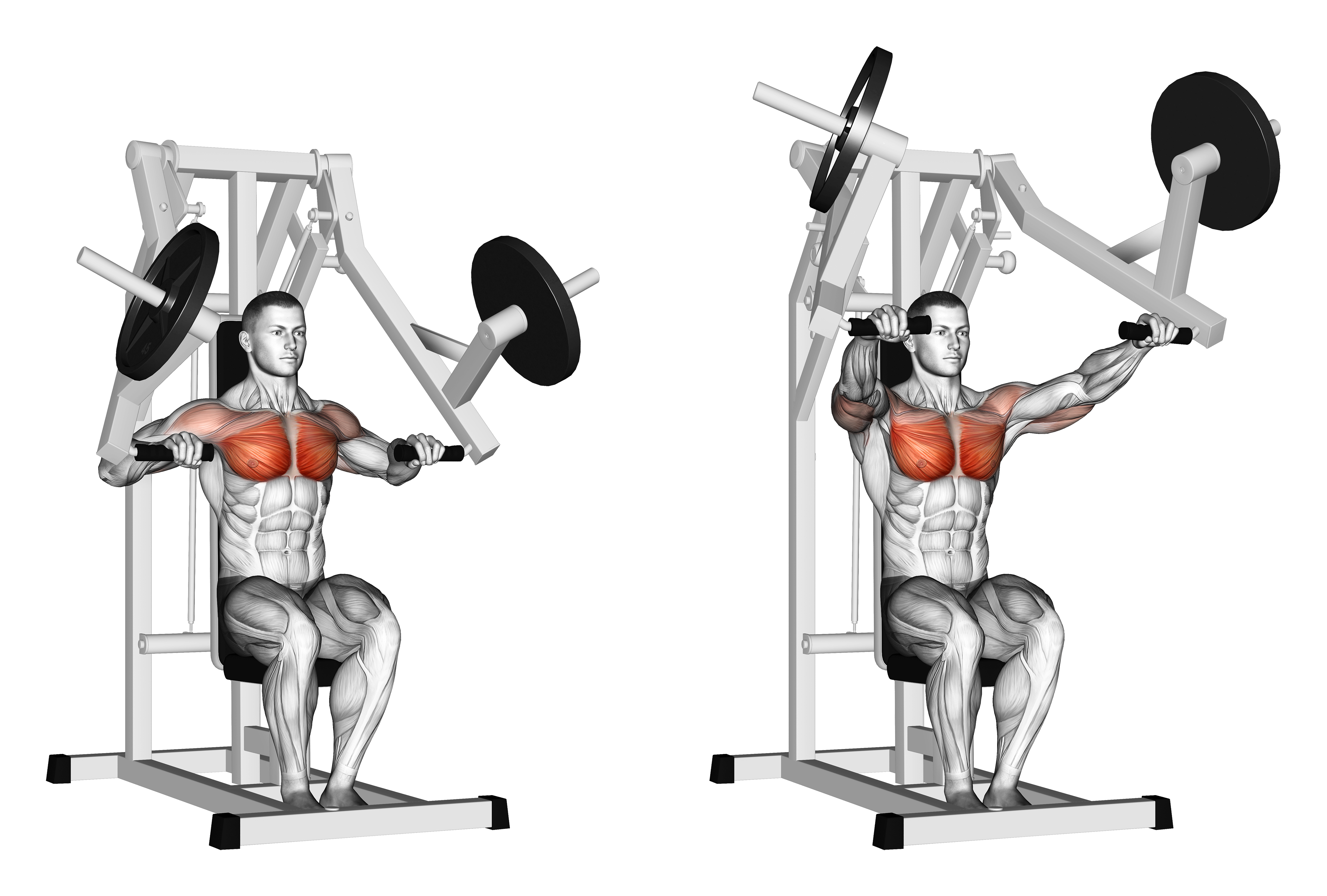 Lever Chest Press (plate Loaded)