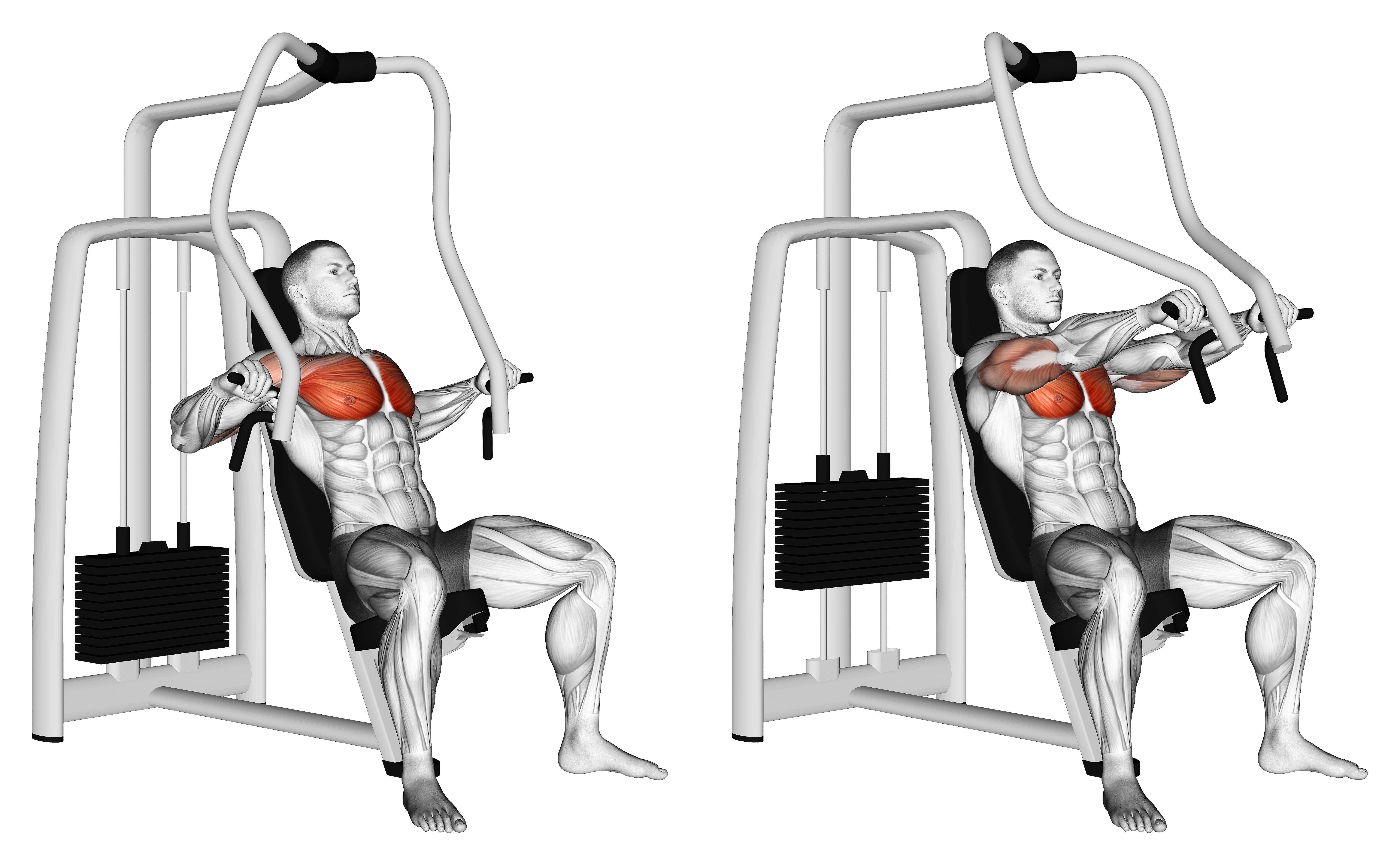 Lever Chest Press (version 2)