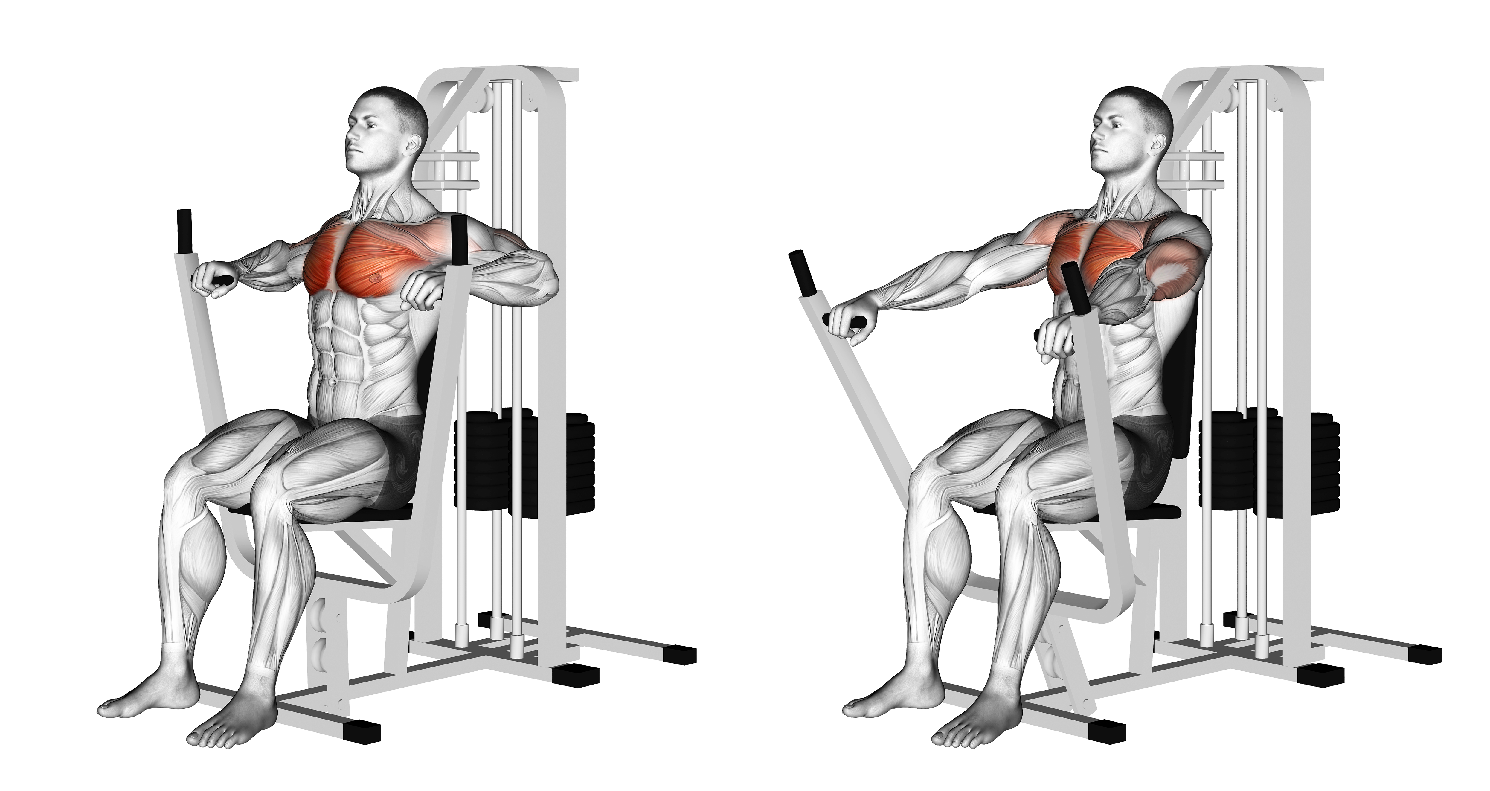 Lever Chest Press