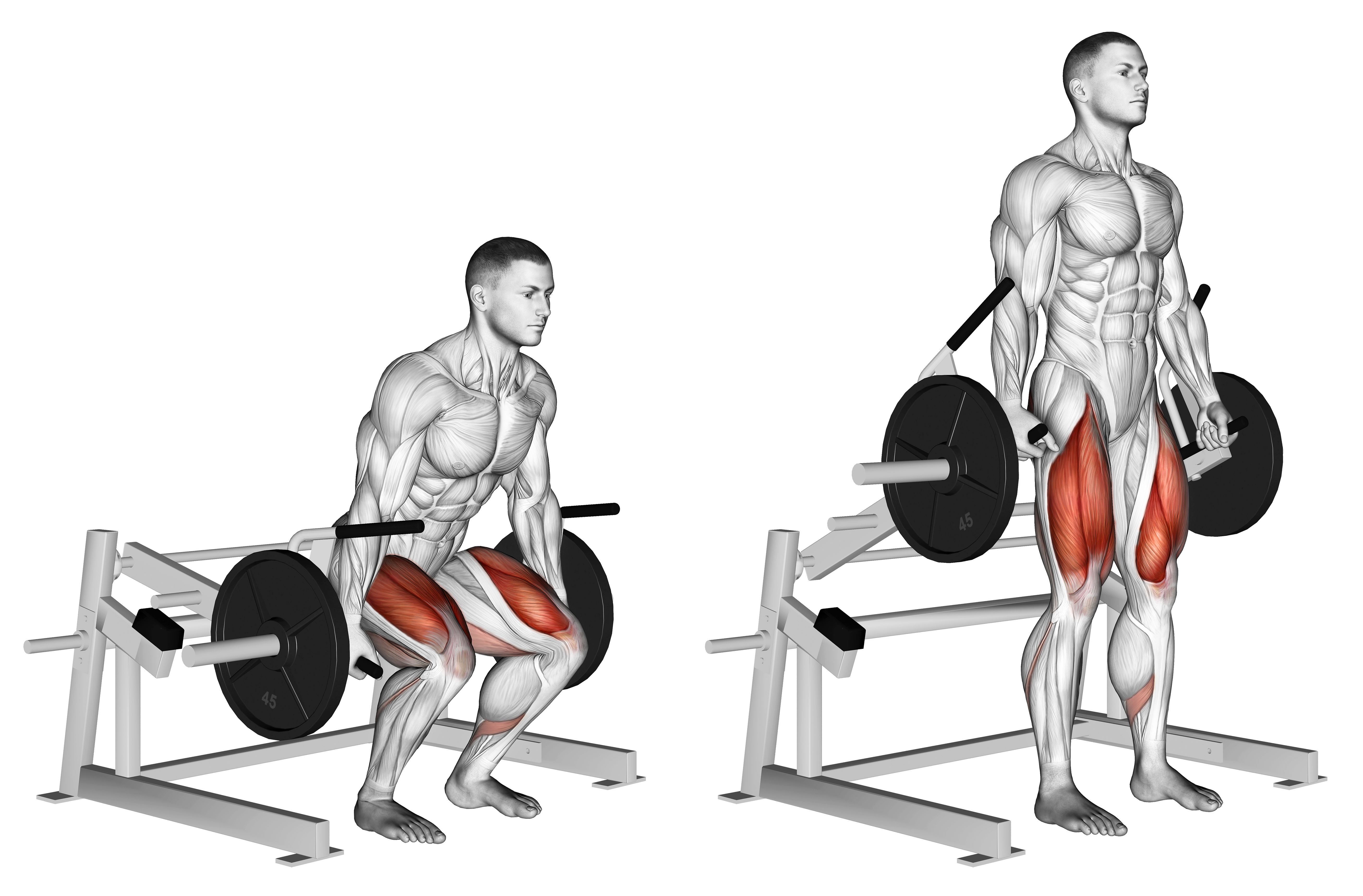 Lever Deadlift (plate Loaded)