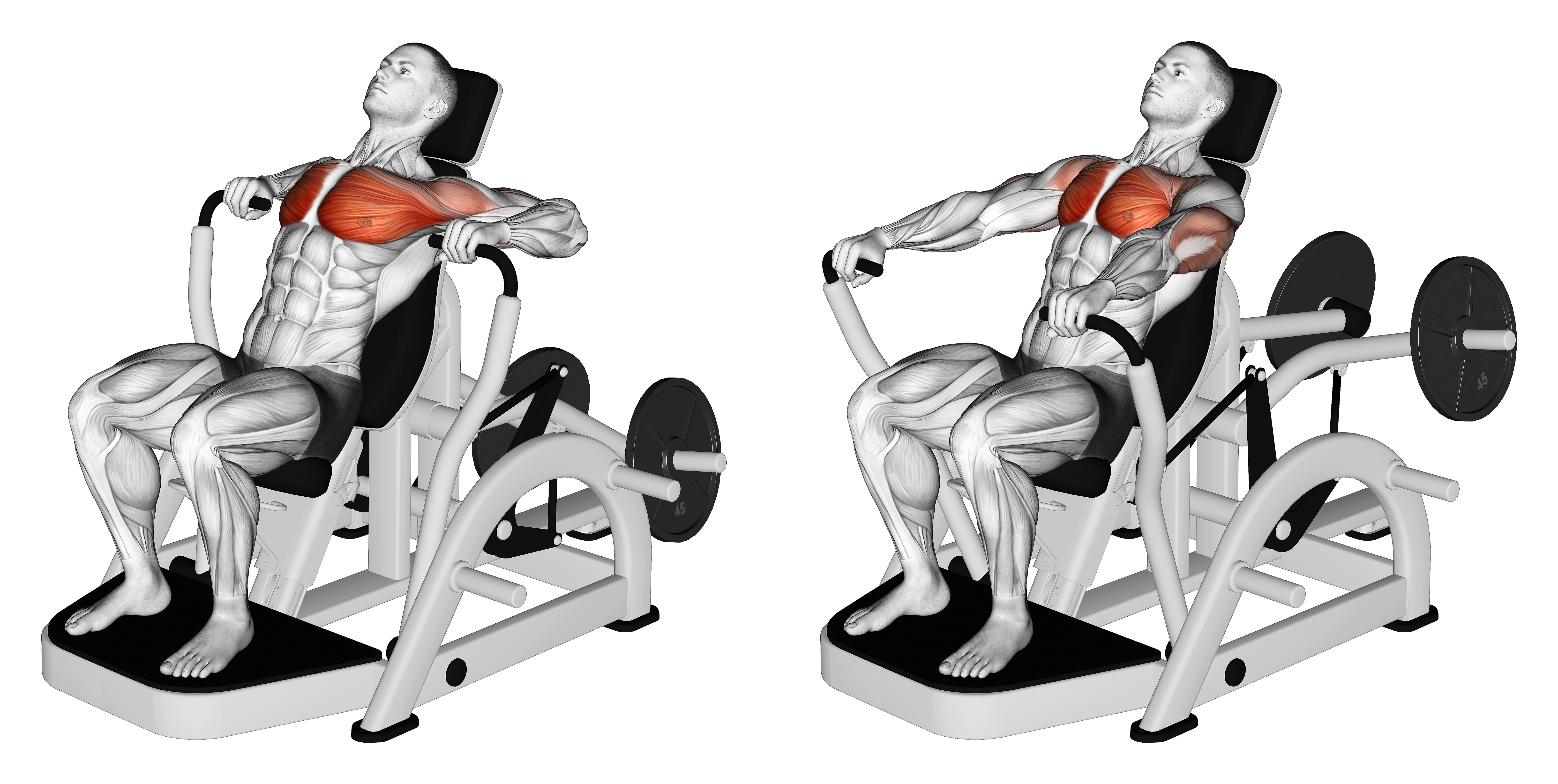 Lever Decline Chest Press (version 2)
