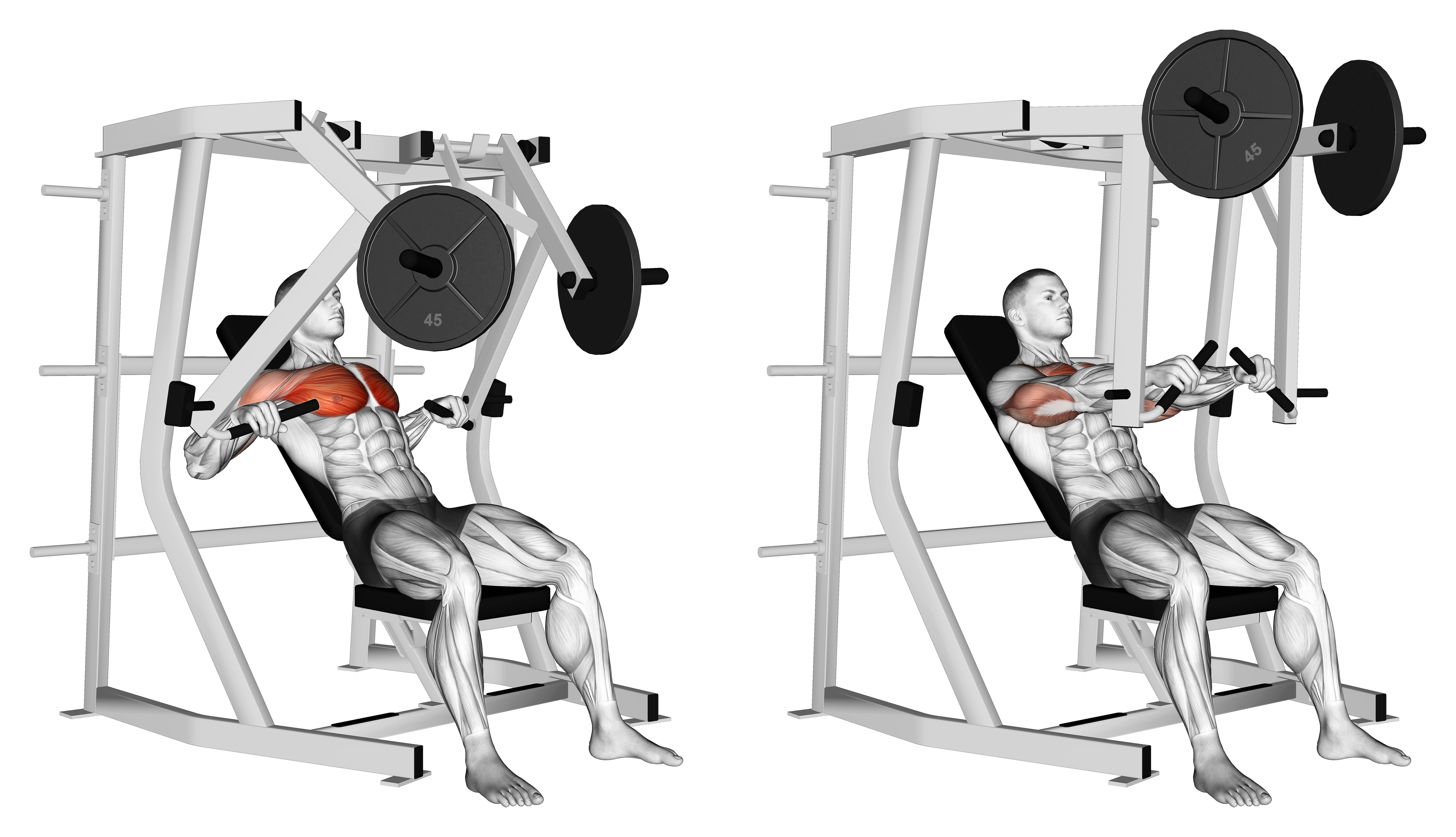 Lever Decline Chest Press