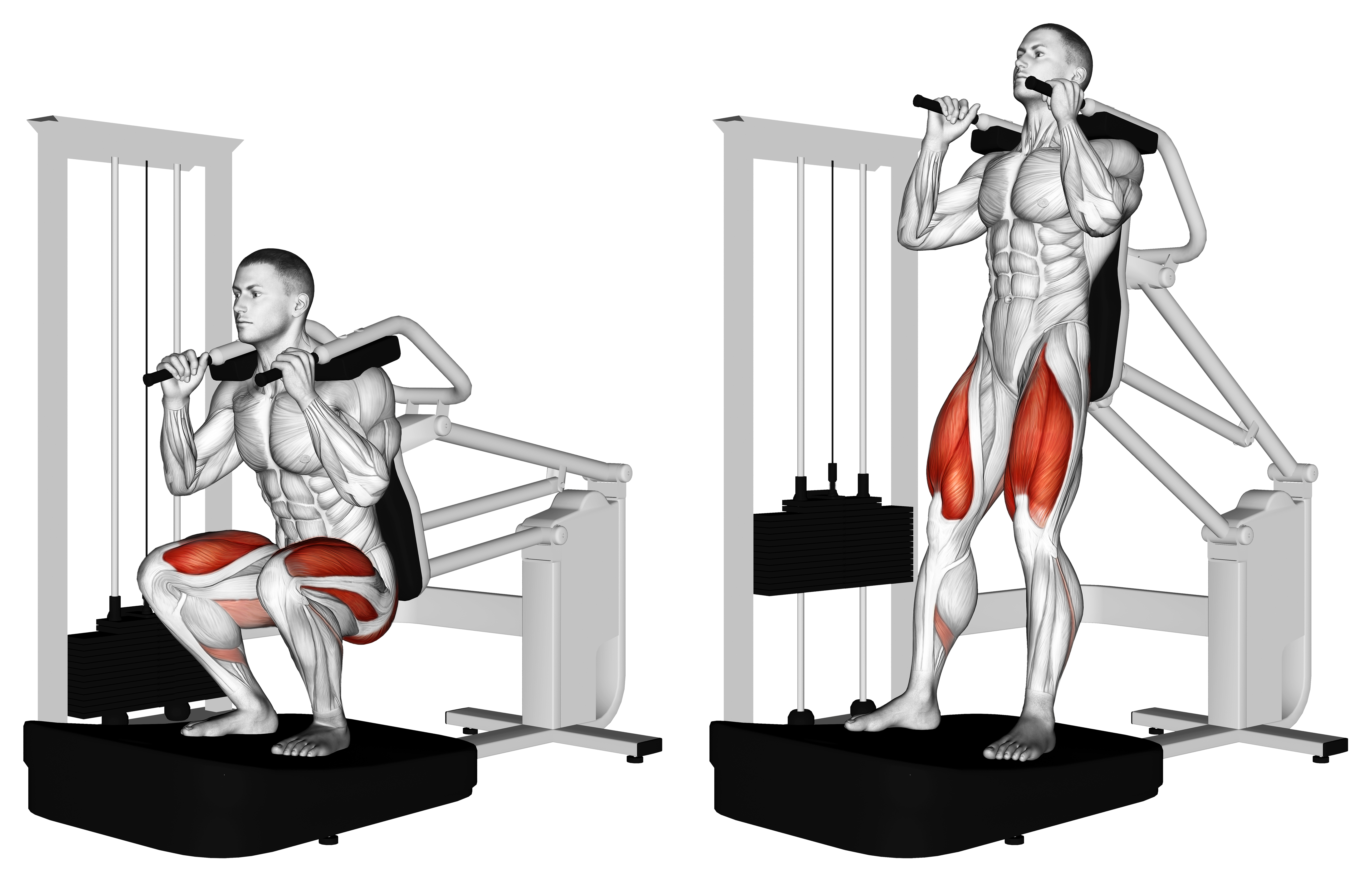 Lever Full Squat