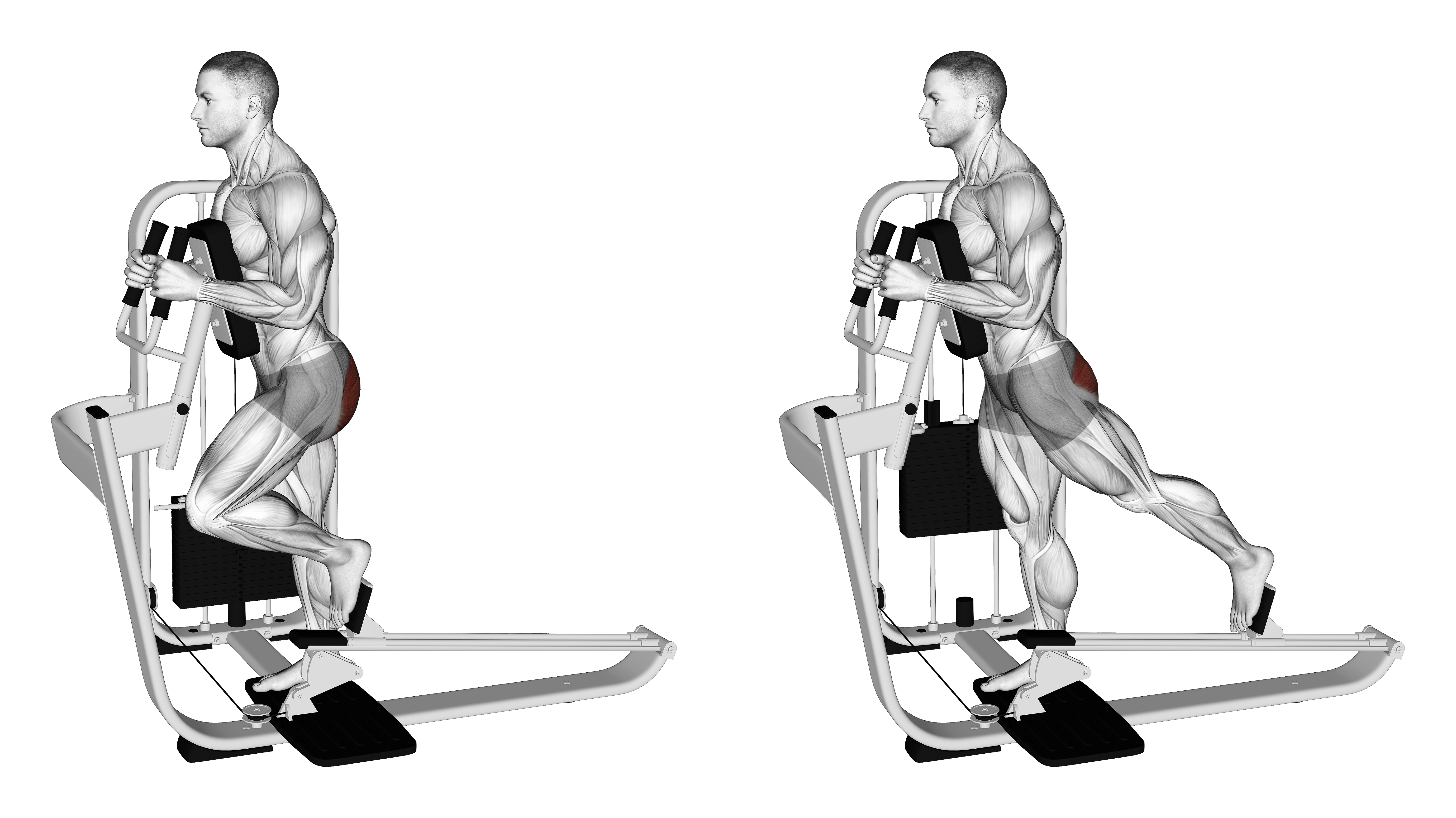 Lever Glute Press