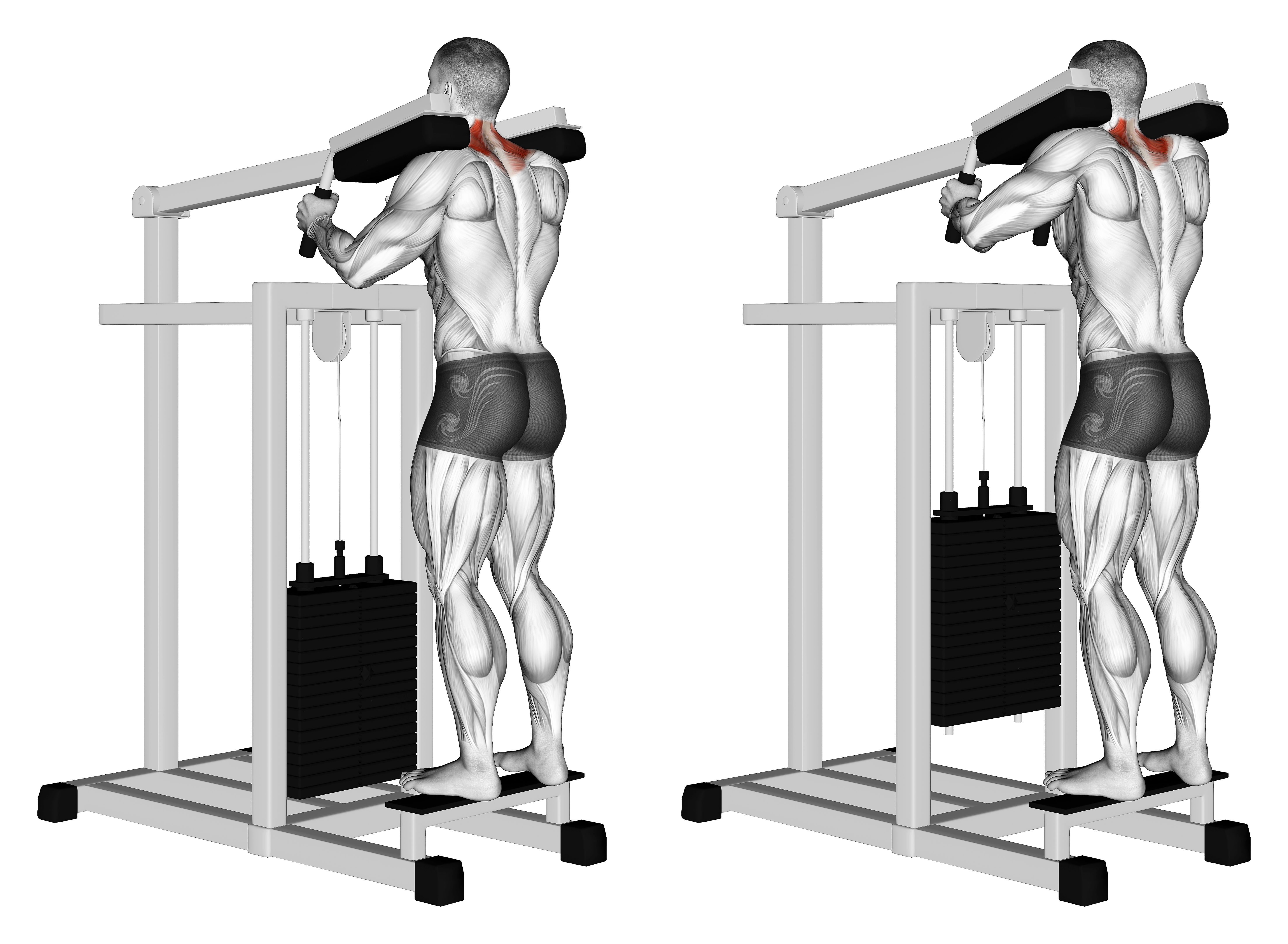 Lever Gripless Shrug (version 2)