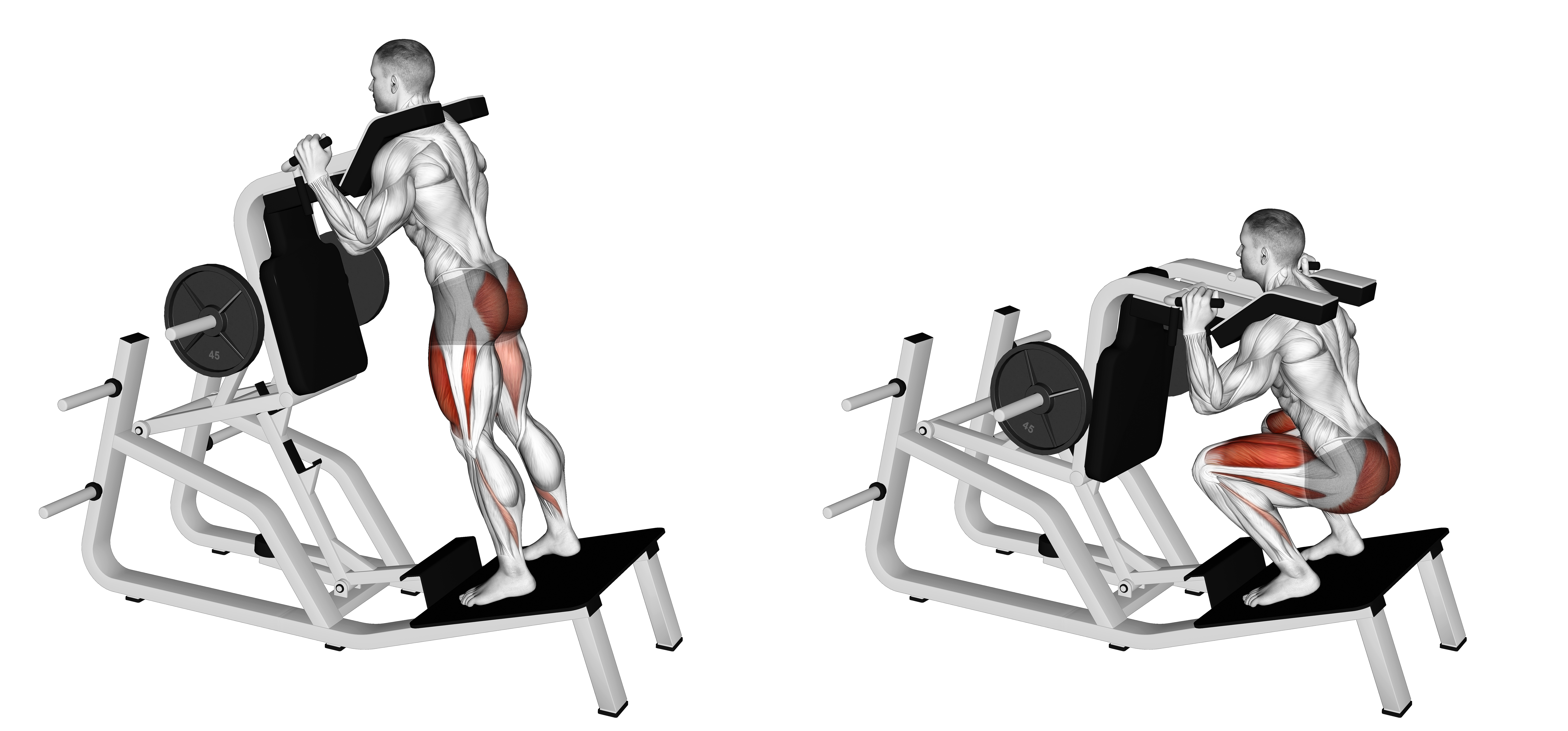 Lever Hack Squat