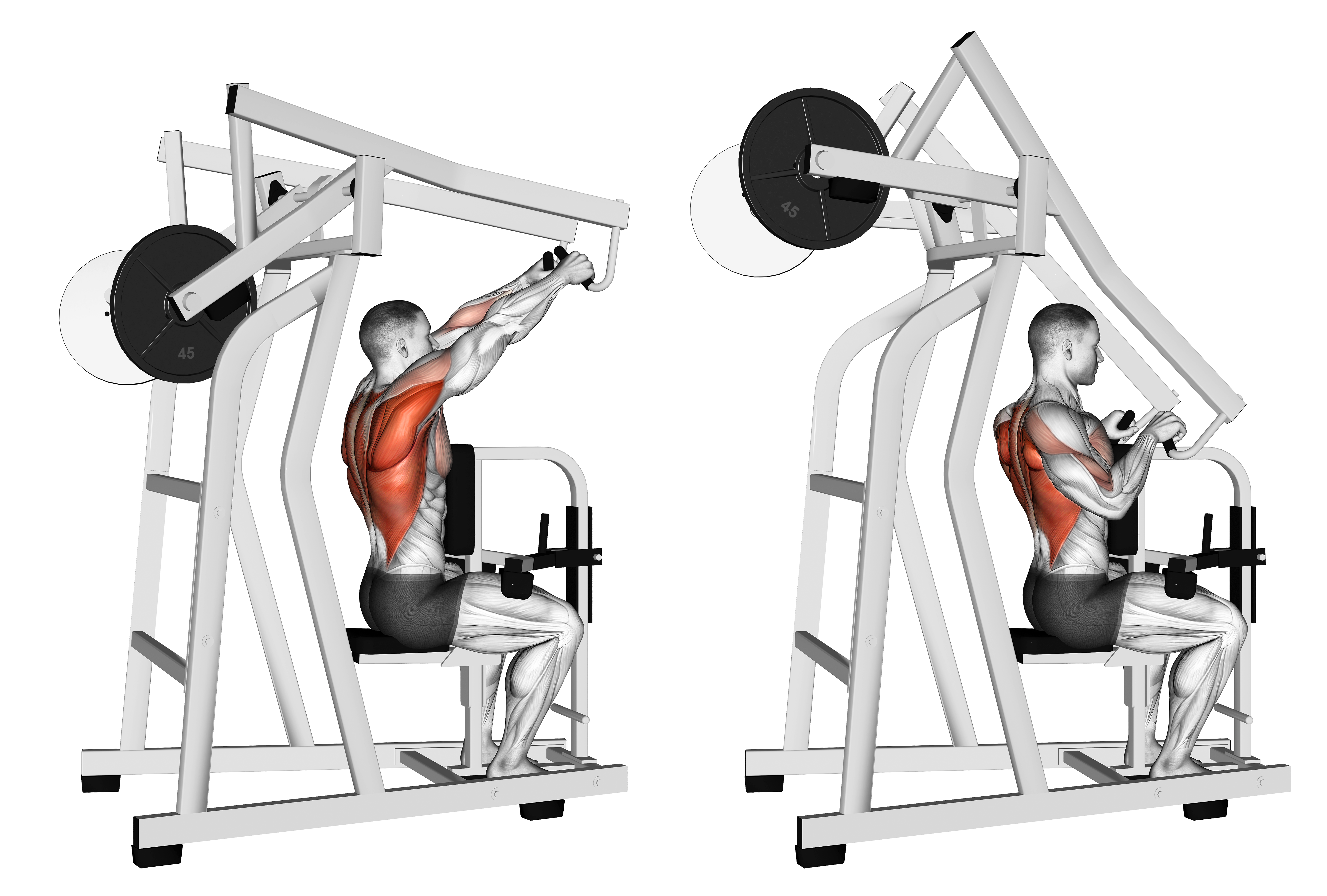 Lever High Row (plate Loaded)