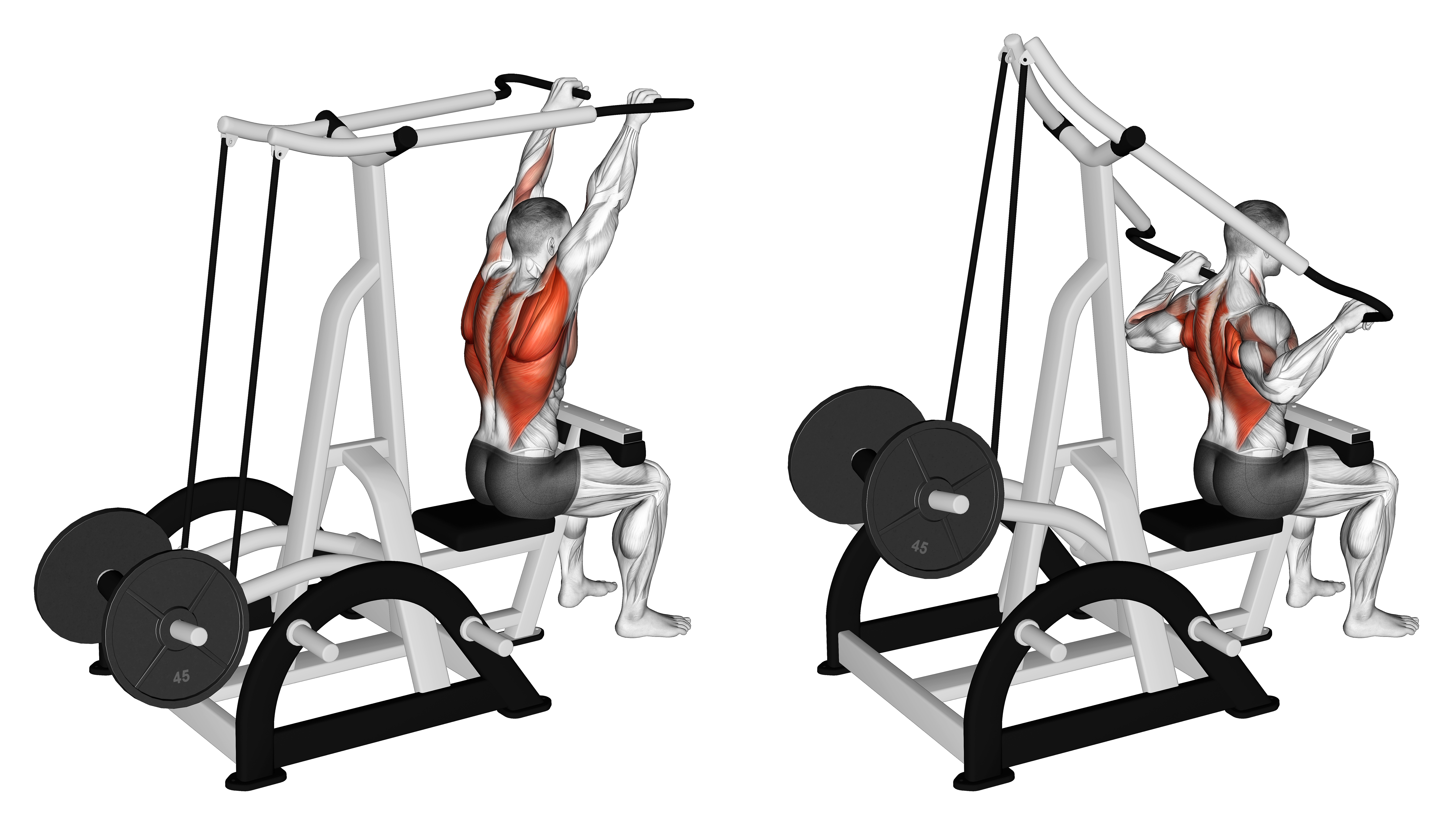 Lever High Row (plate Loaded) (version 2)