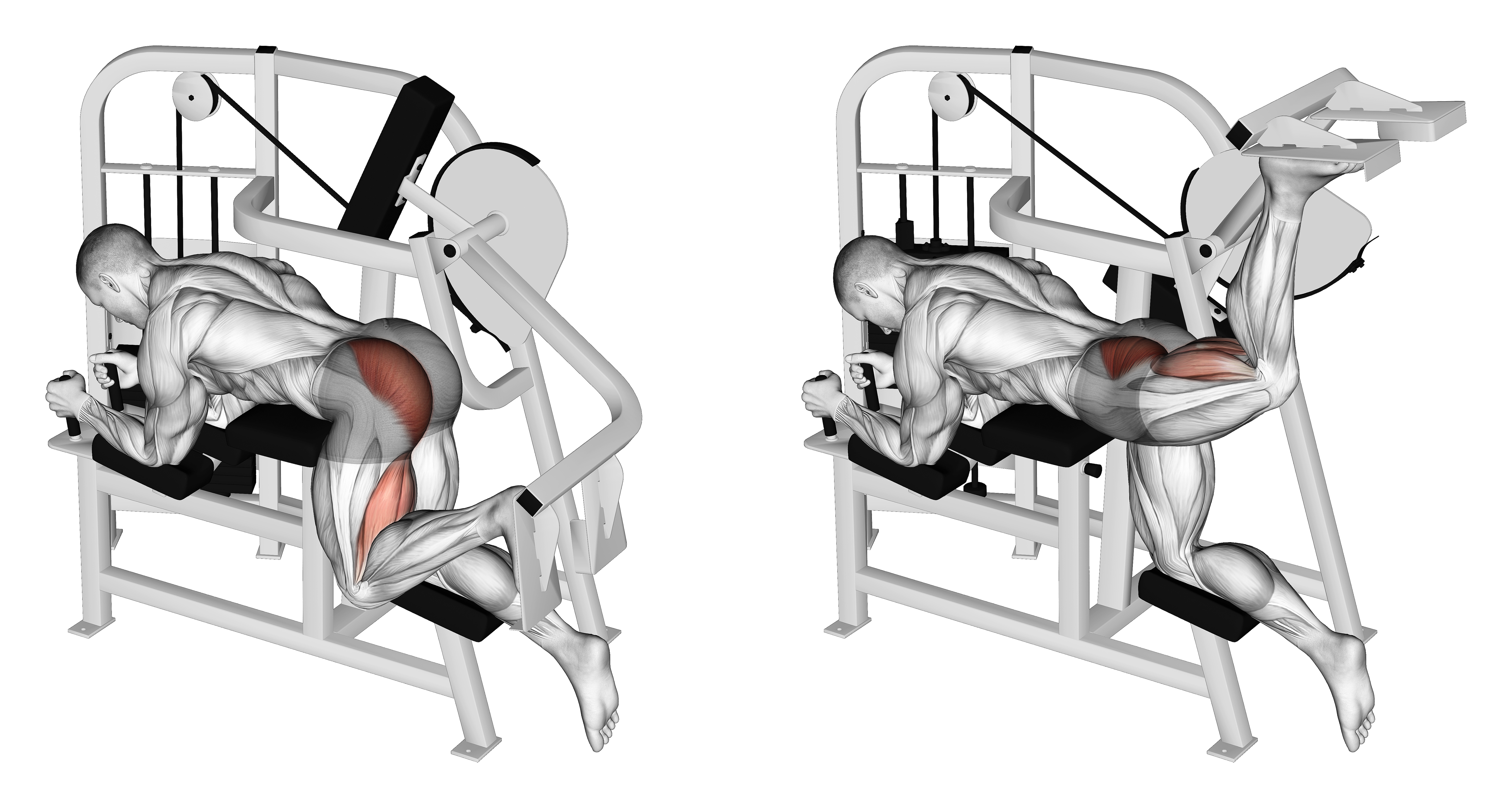 Lever Hip Extension (version 2)