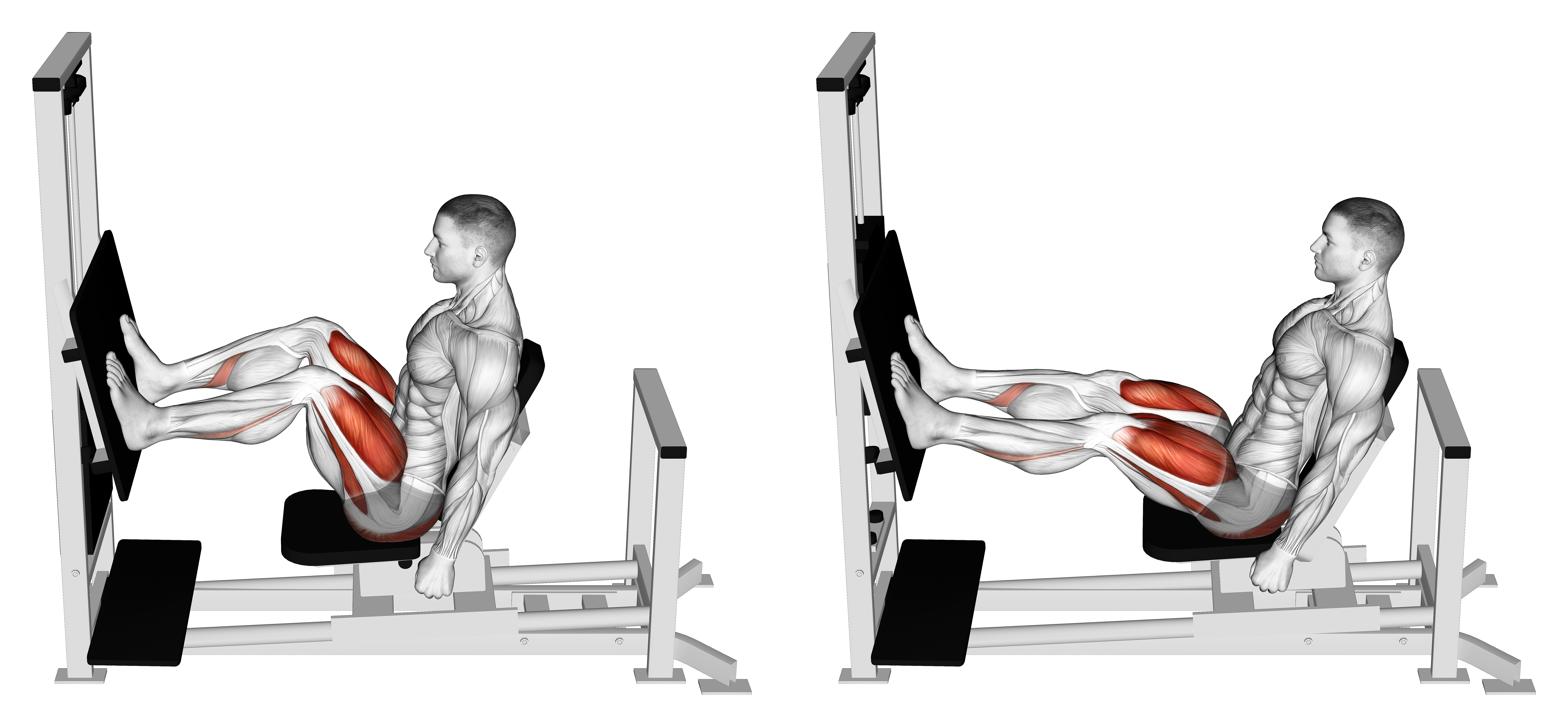 Lever Horizontal Leg Press