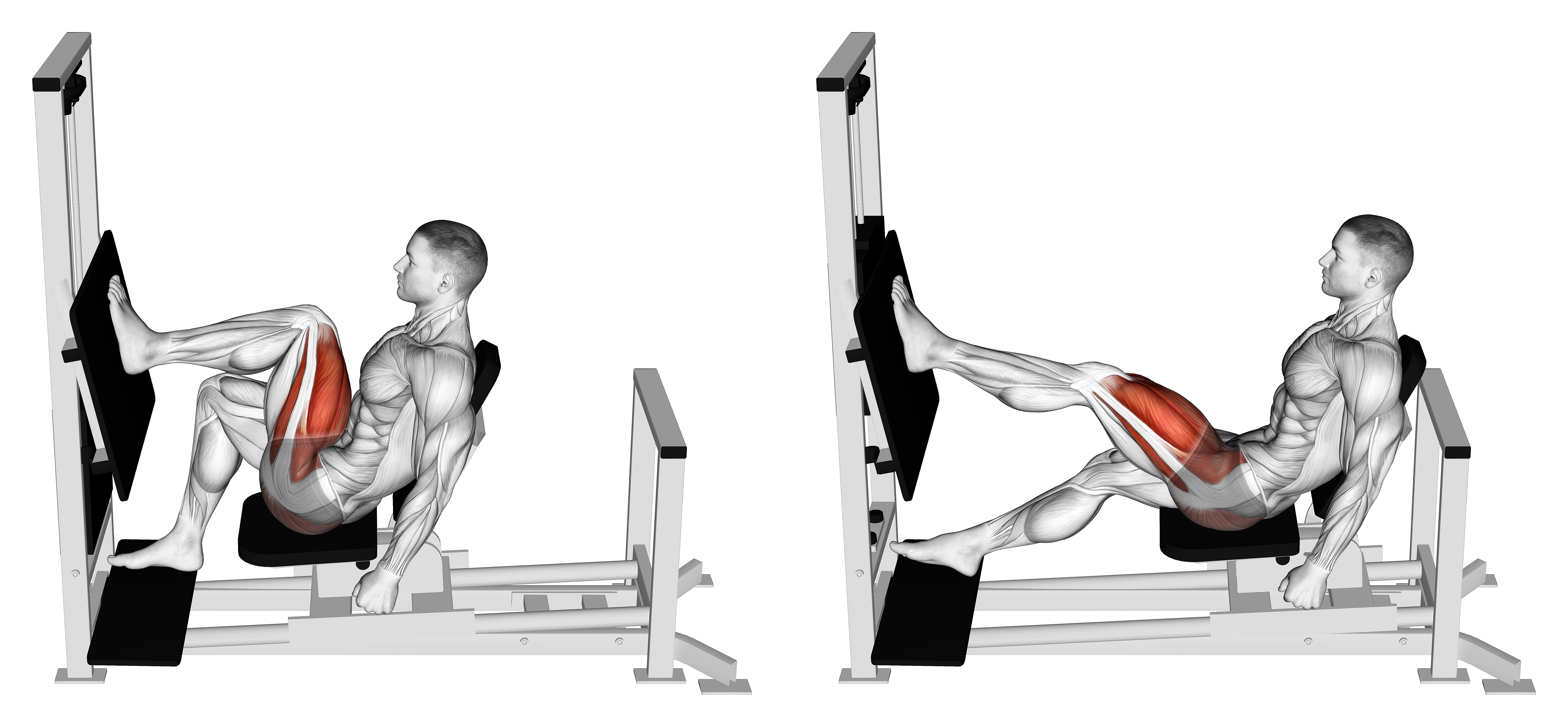 Lever Horizontal One Leg Press