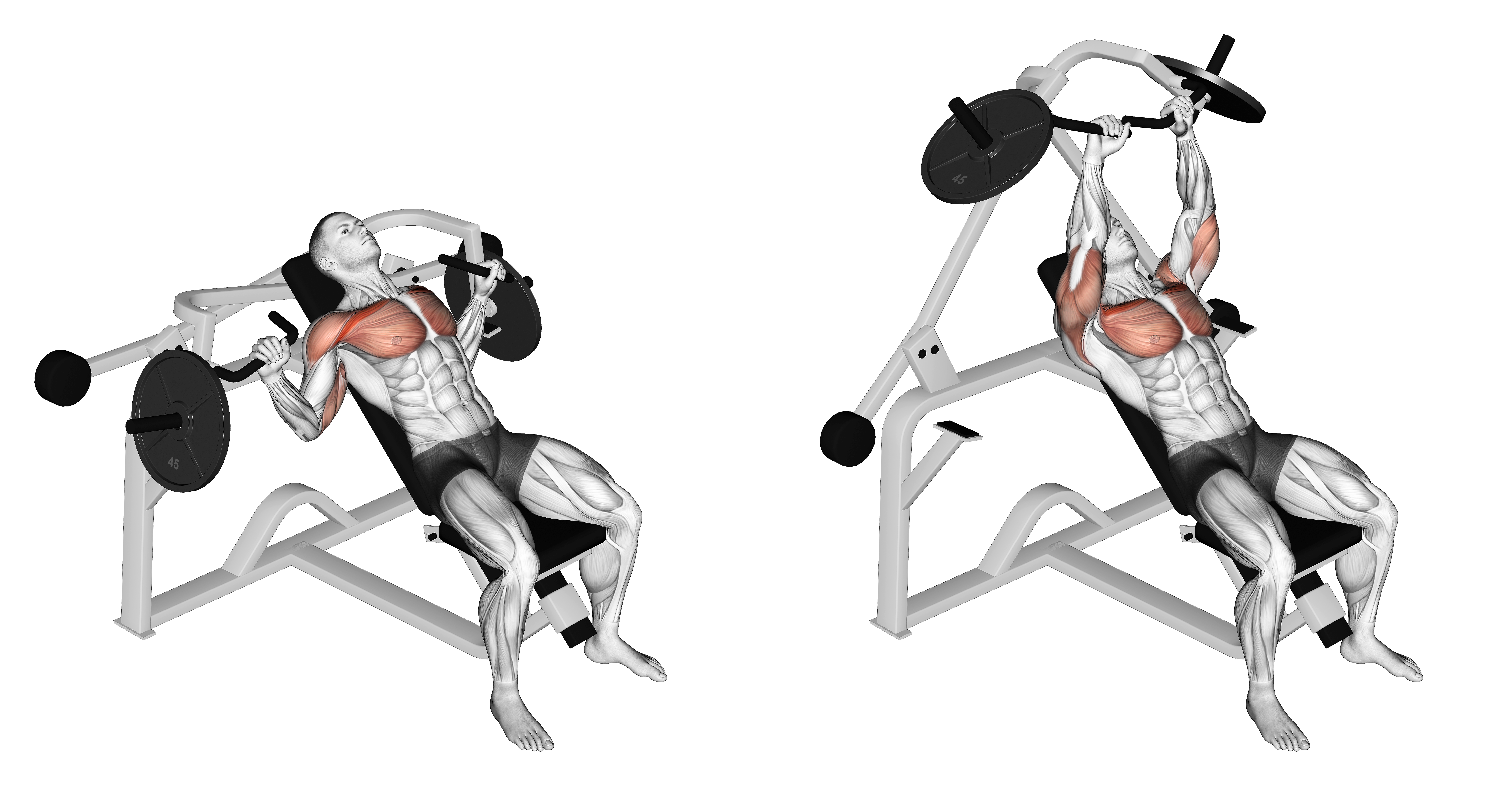 Lever Incline Chest Press (plate Loaded)