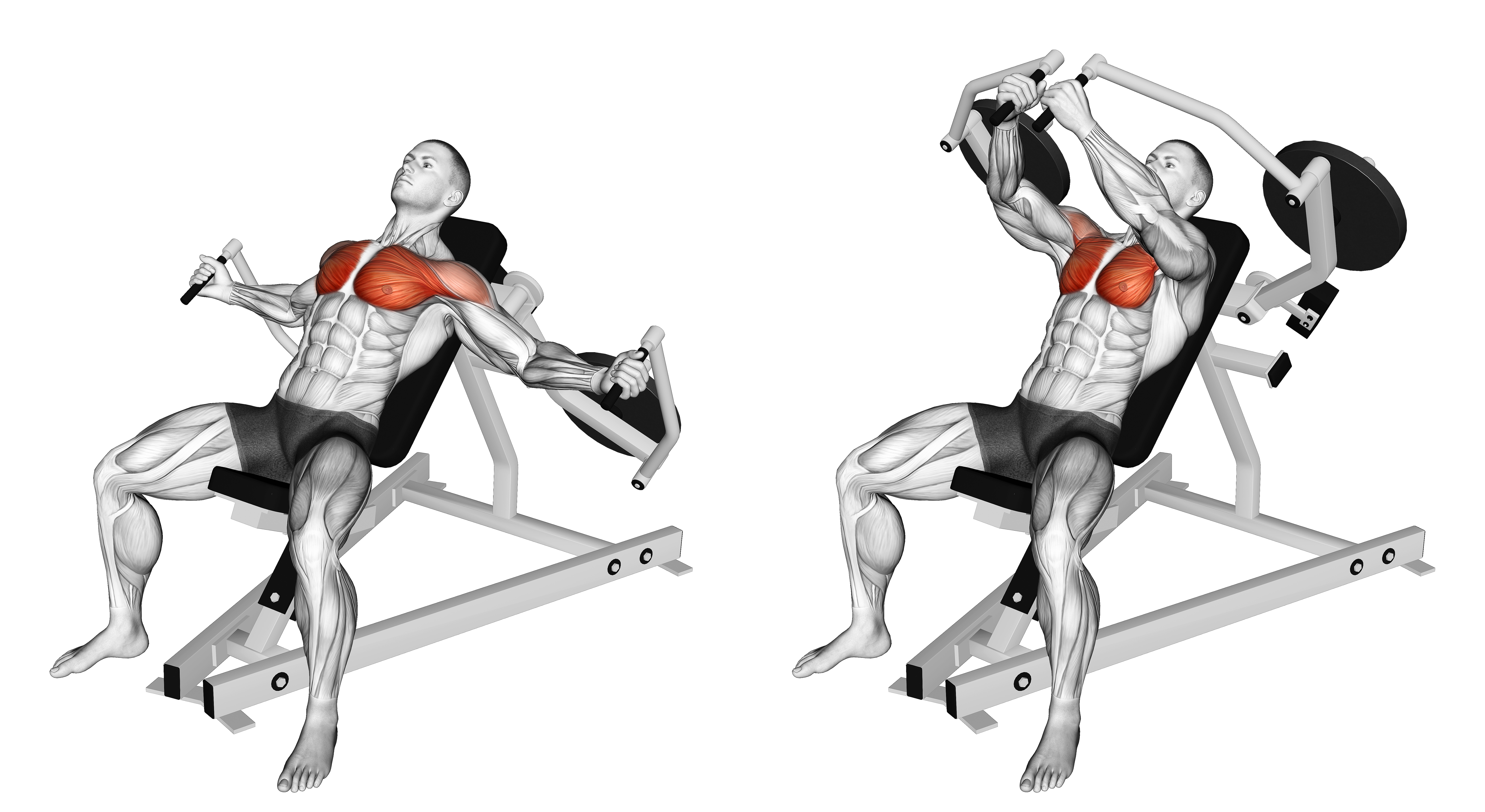 Lever Incline Fly