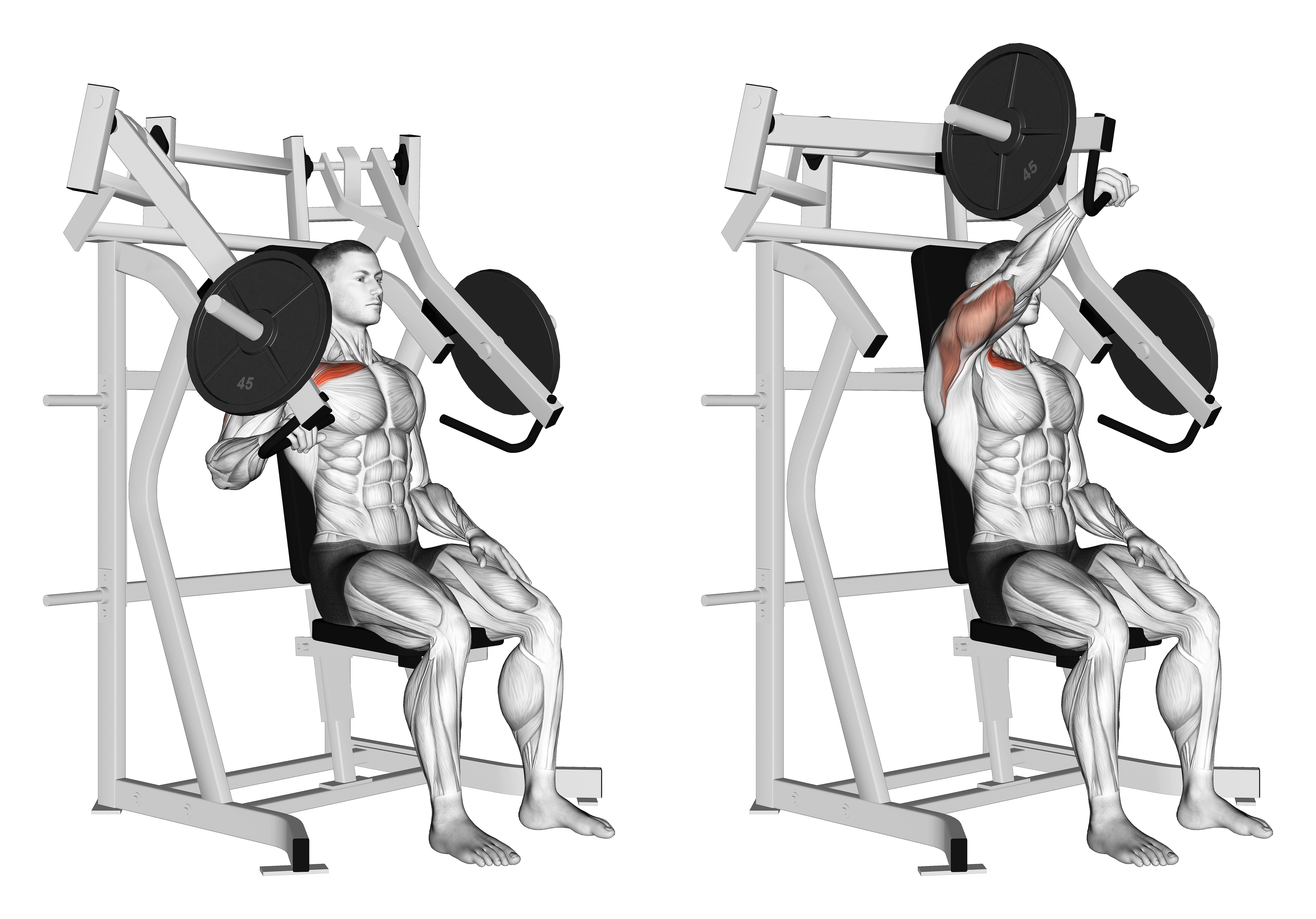 Lever Incline One Arm Chest Press (plate Loaded)