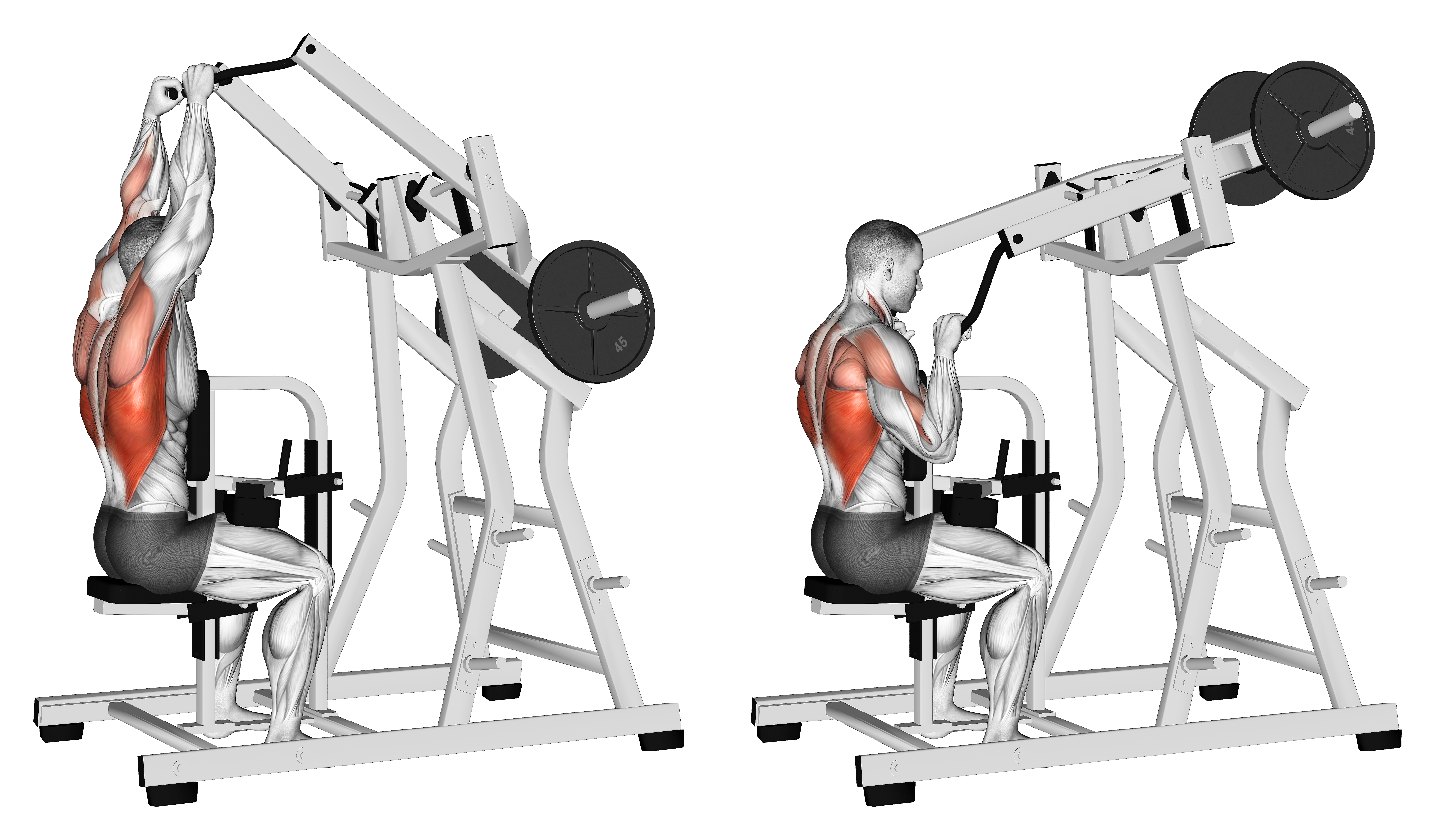 Lever Lateral Pulldown (plate Loaded)