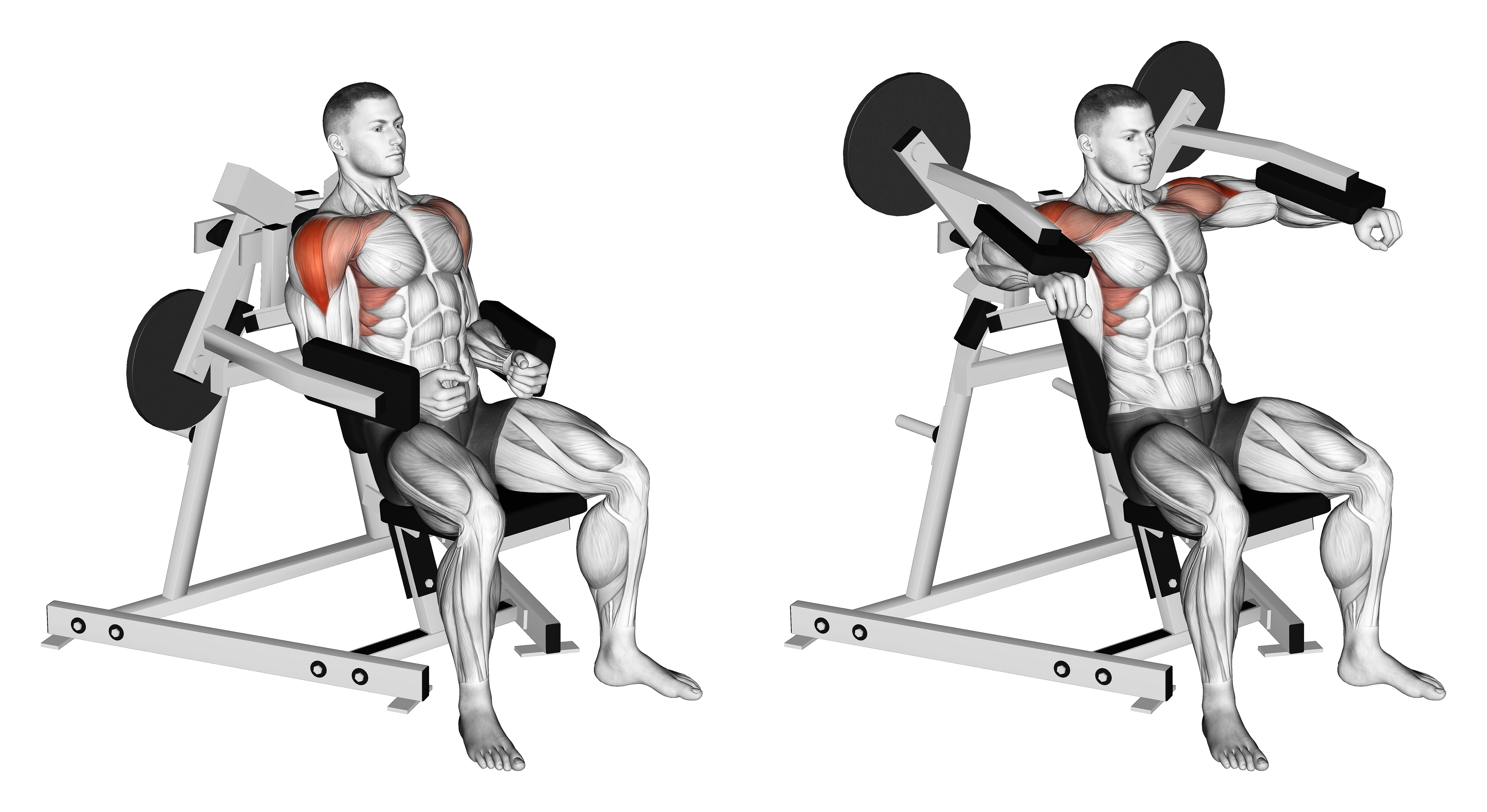 Lever Lateral Raise (plate Loaded)