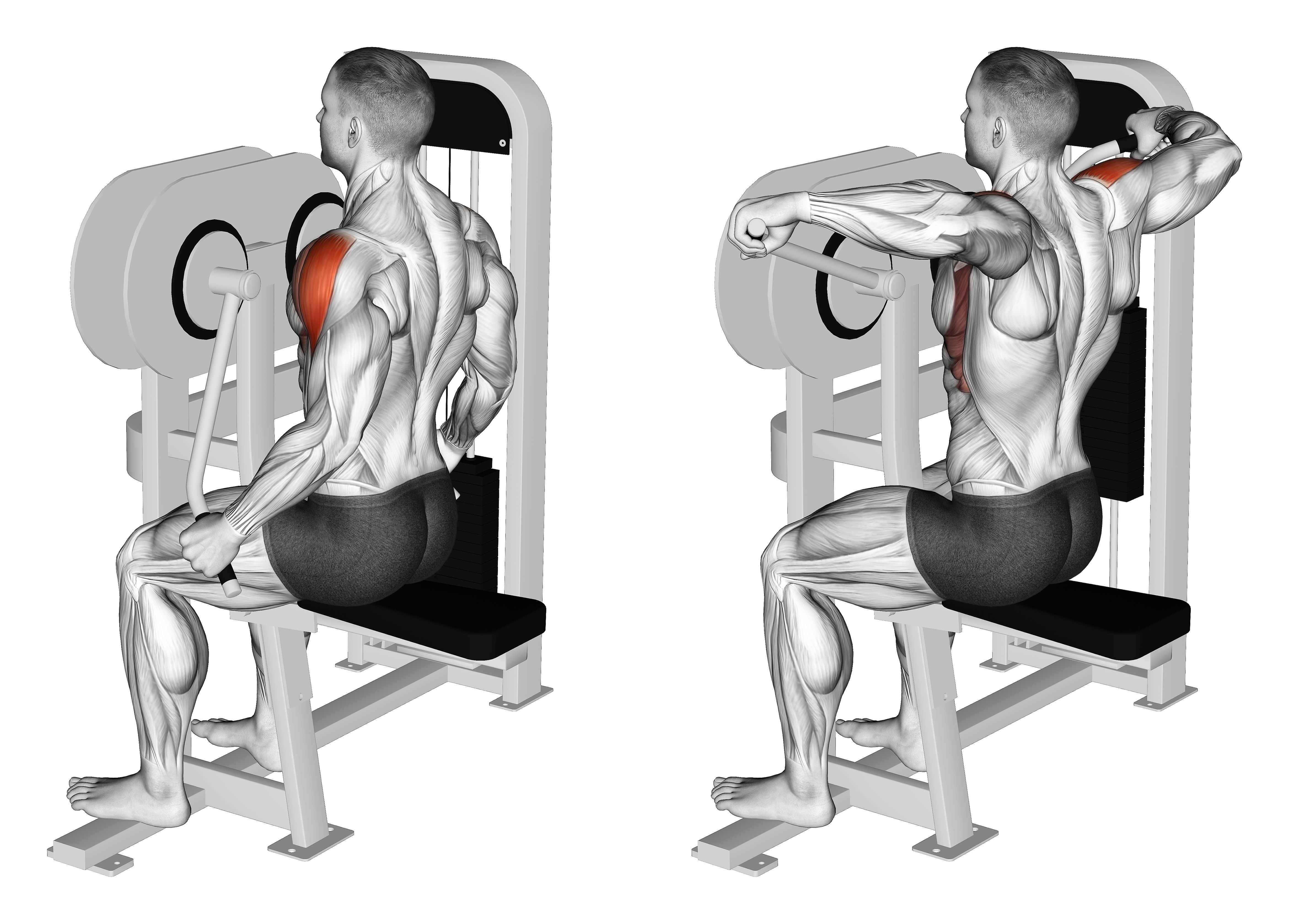 Lever Lateral Raise (version 2)