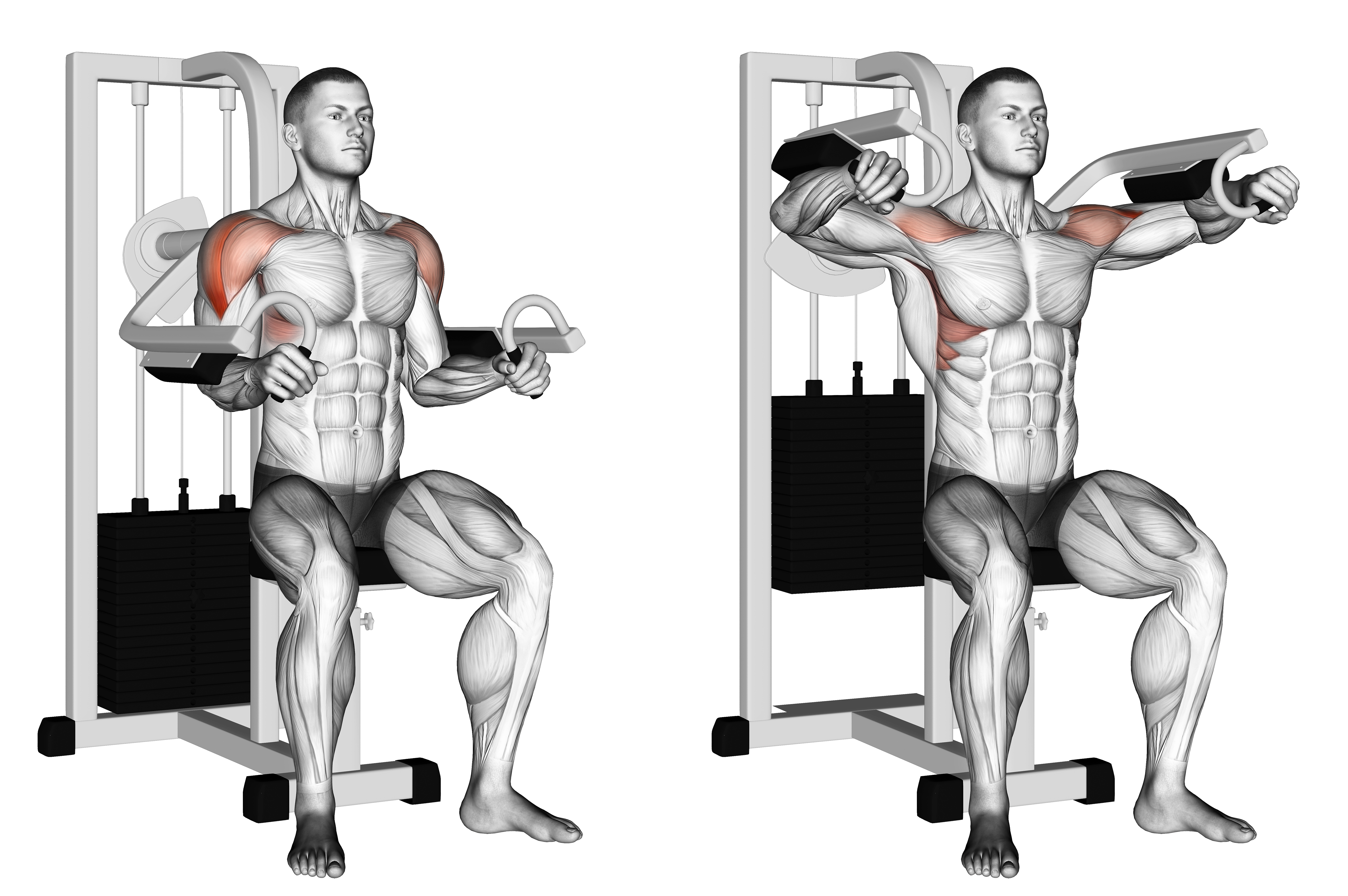 Lever Lateral Raise
