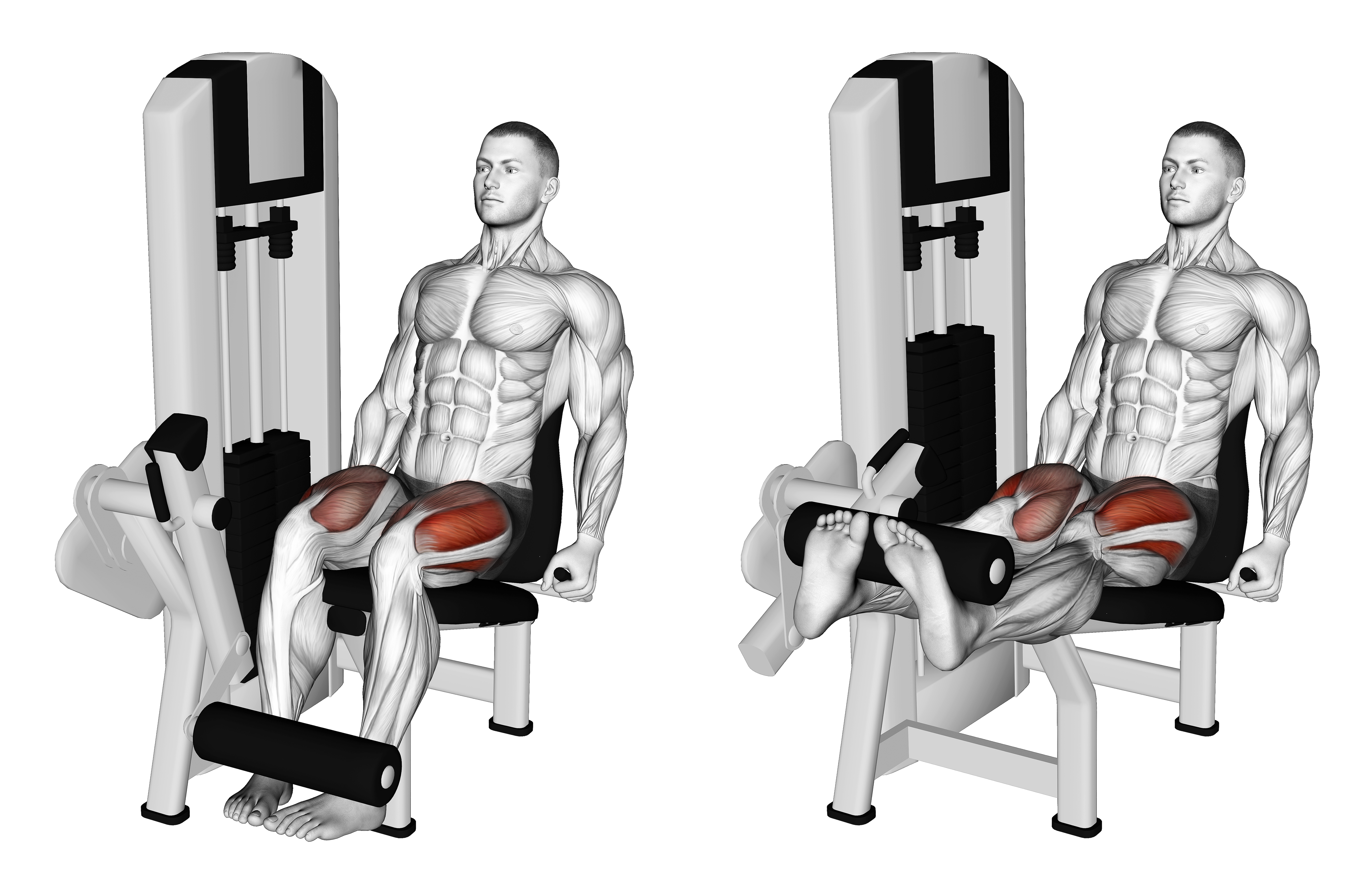 Lever Leg Extension (inward Toes)