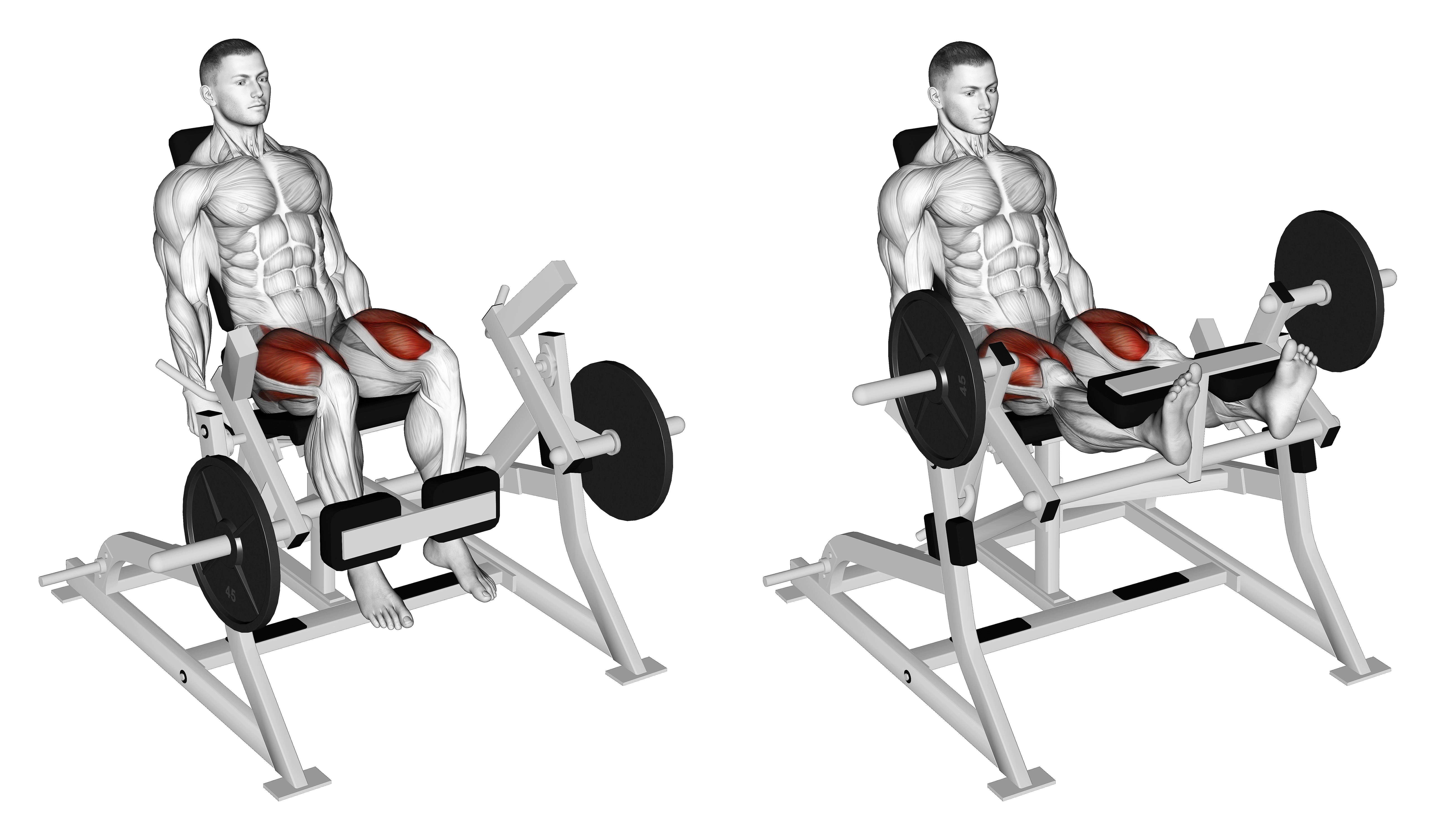 Lever Leg Extension (plate Loaded)