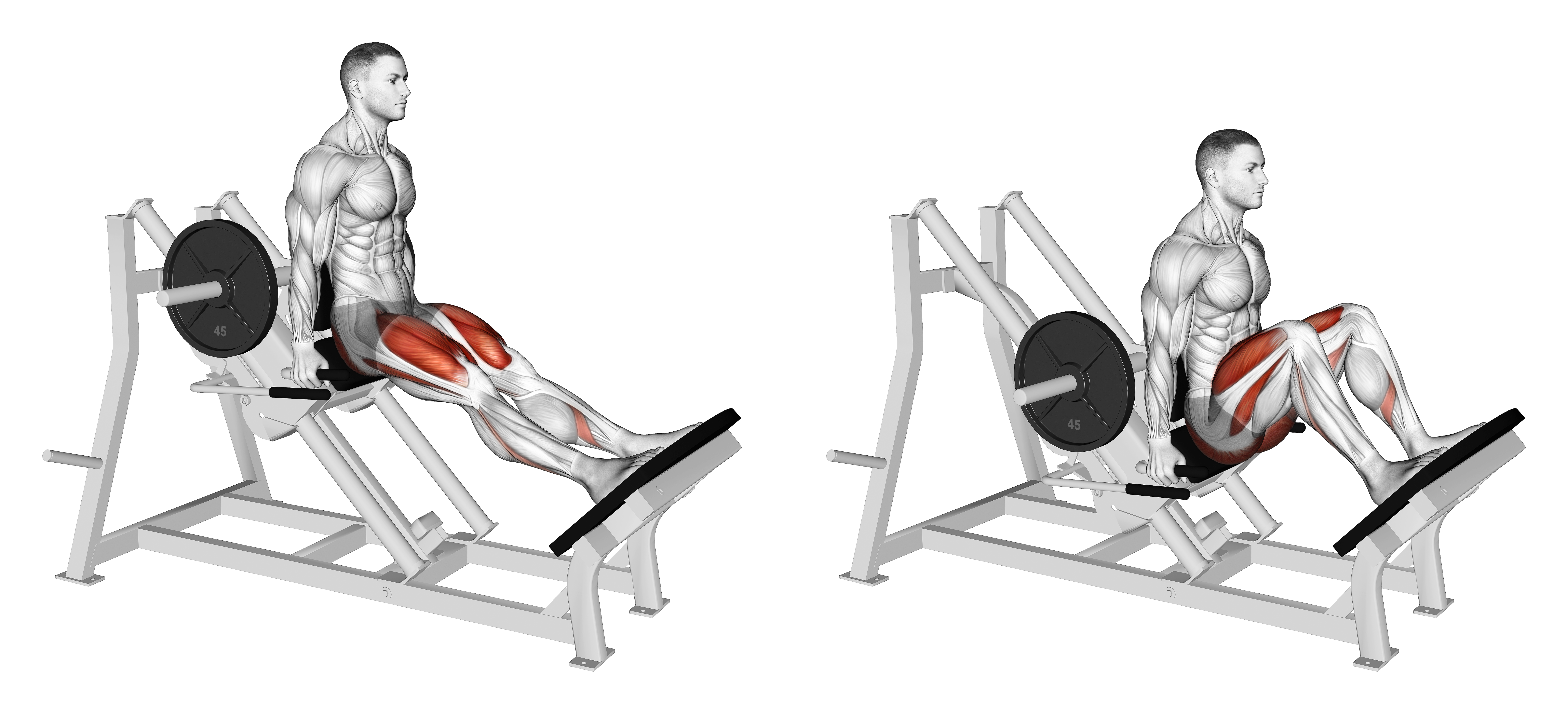 Lever Linear Hack Squat