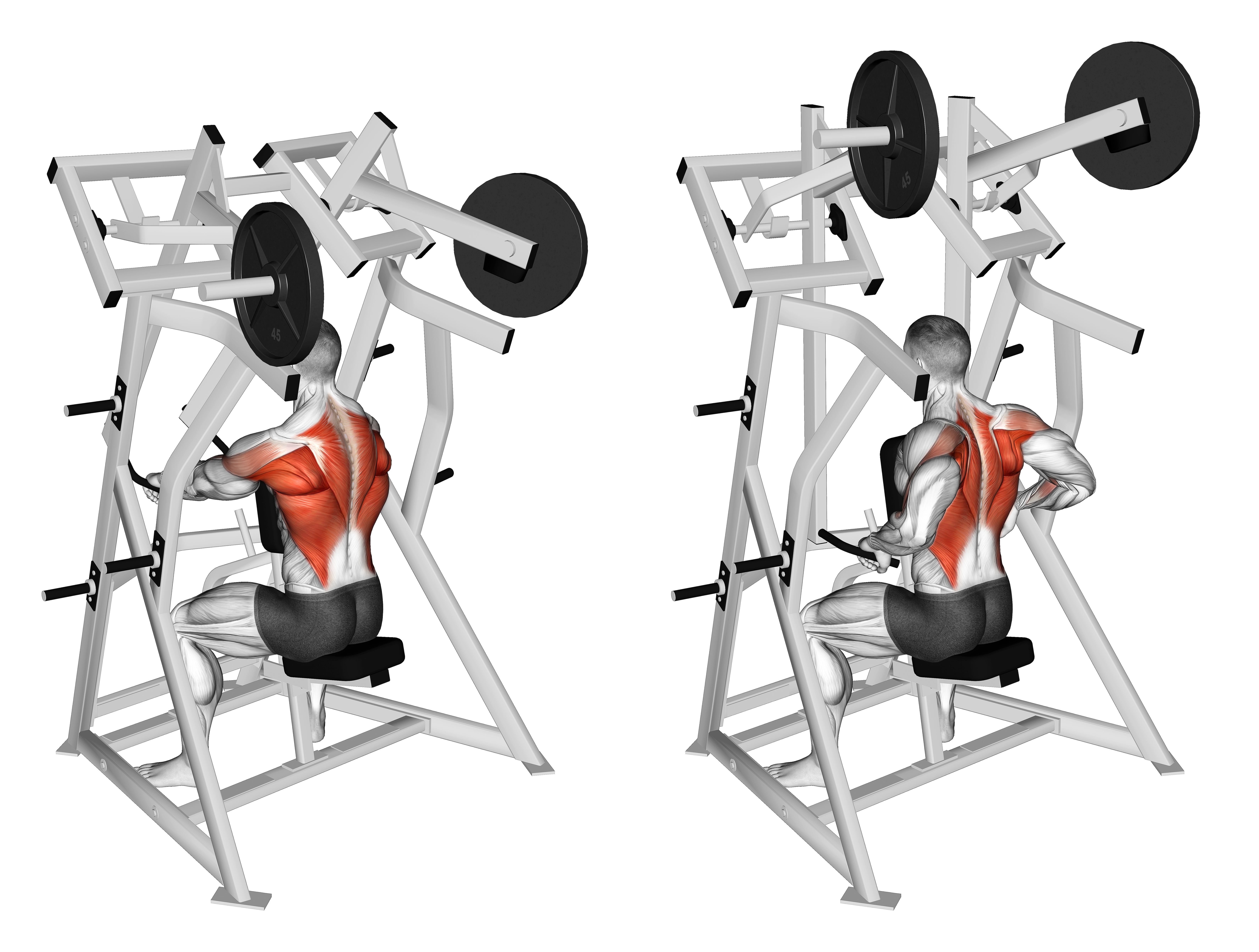 Lever Low Row (plate Loaded)