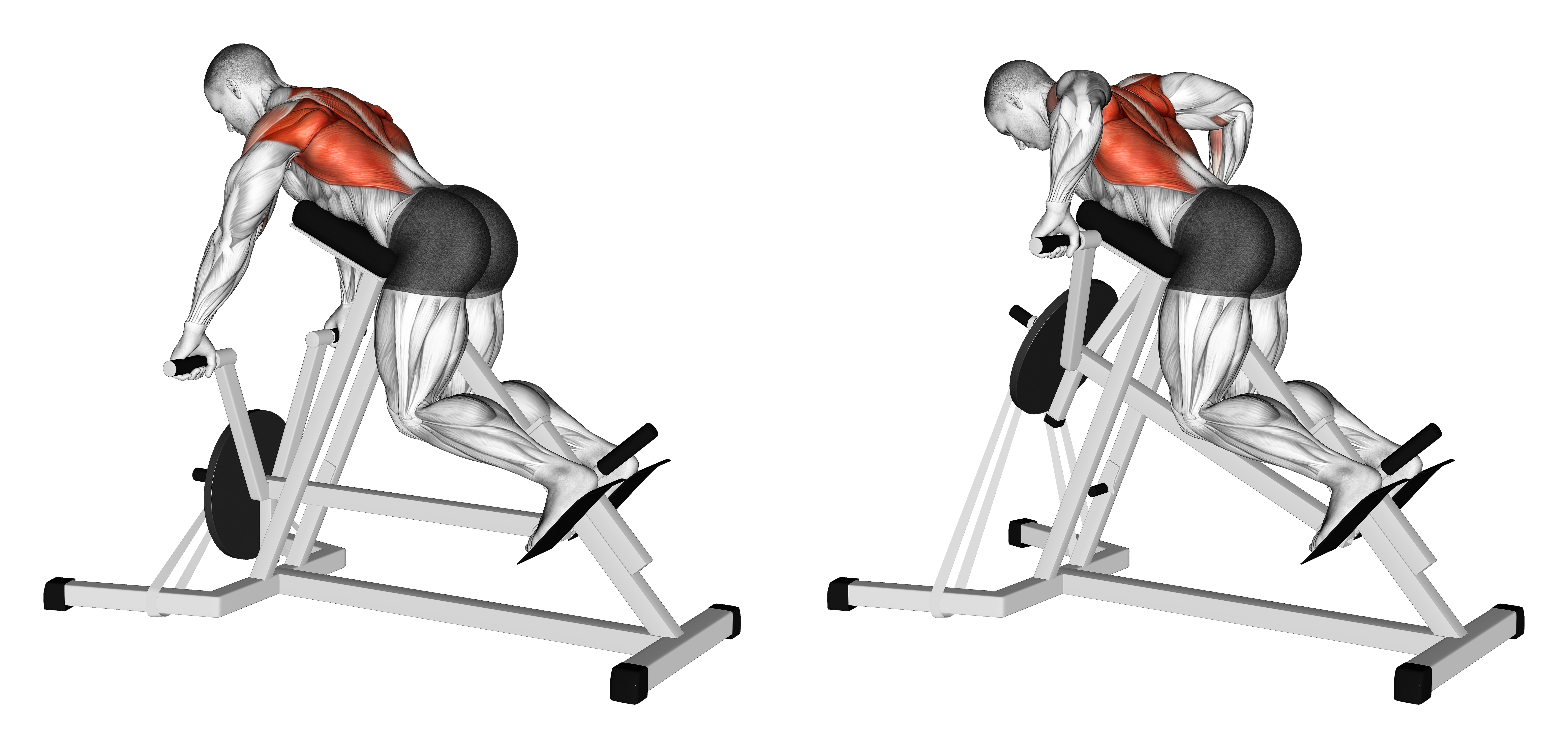 Lever Lying Banded T Bar Row