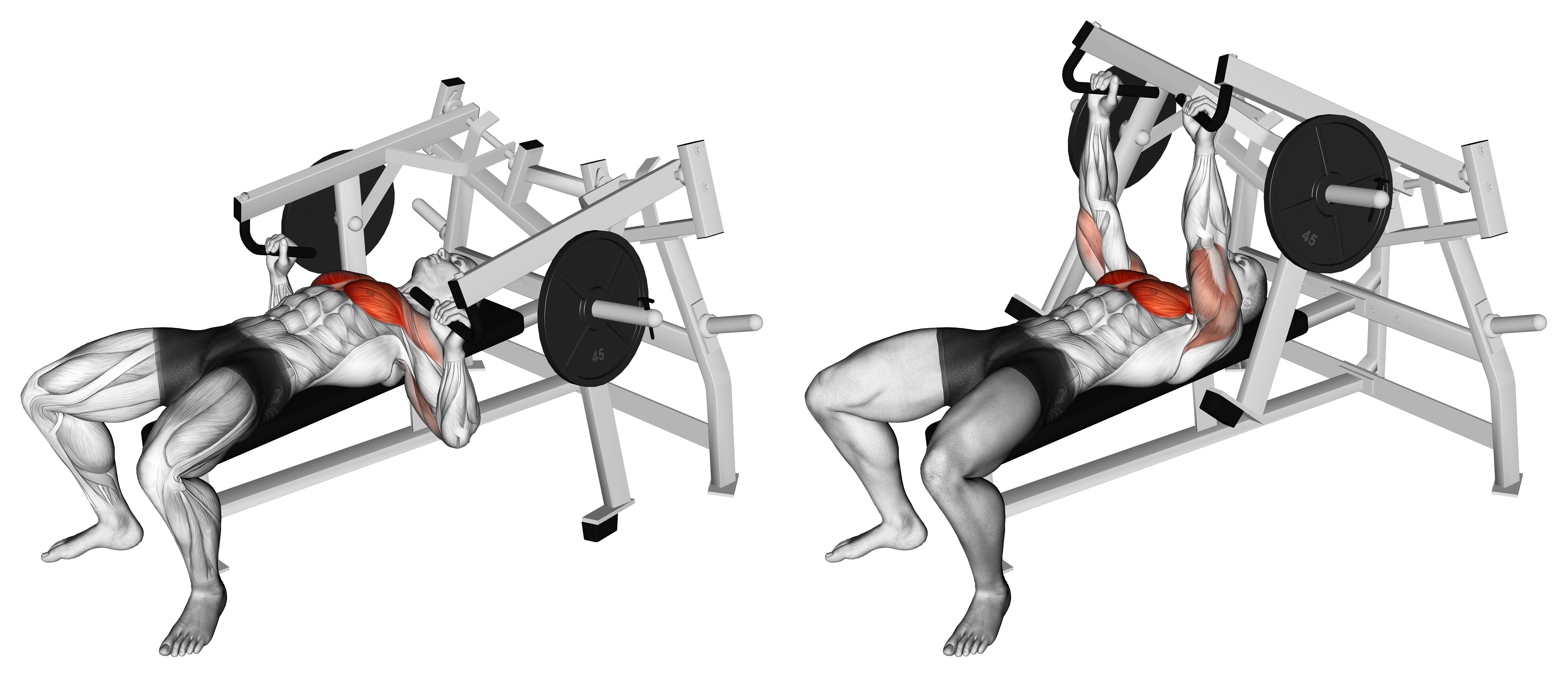 Lever Lying Chest Press (plate Loaded)
