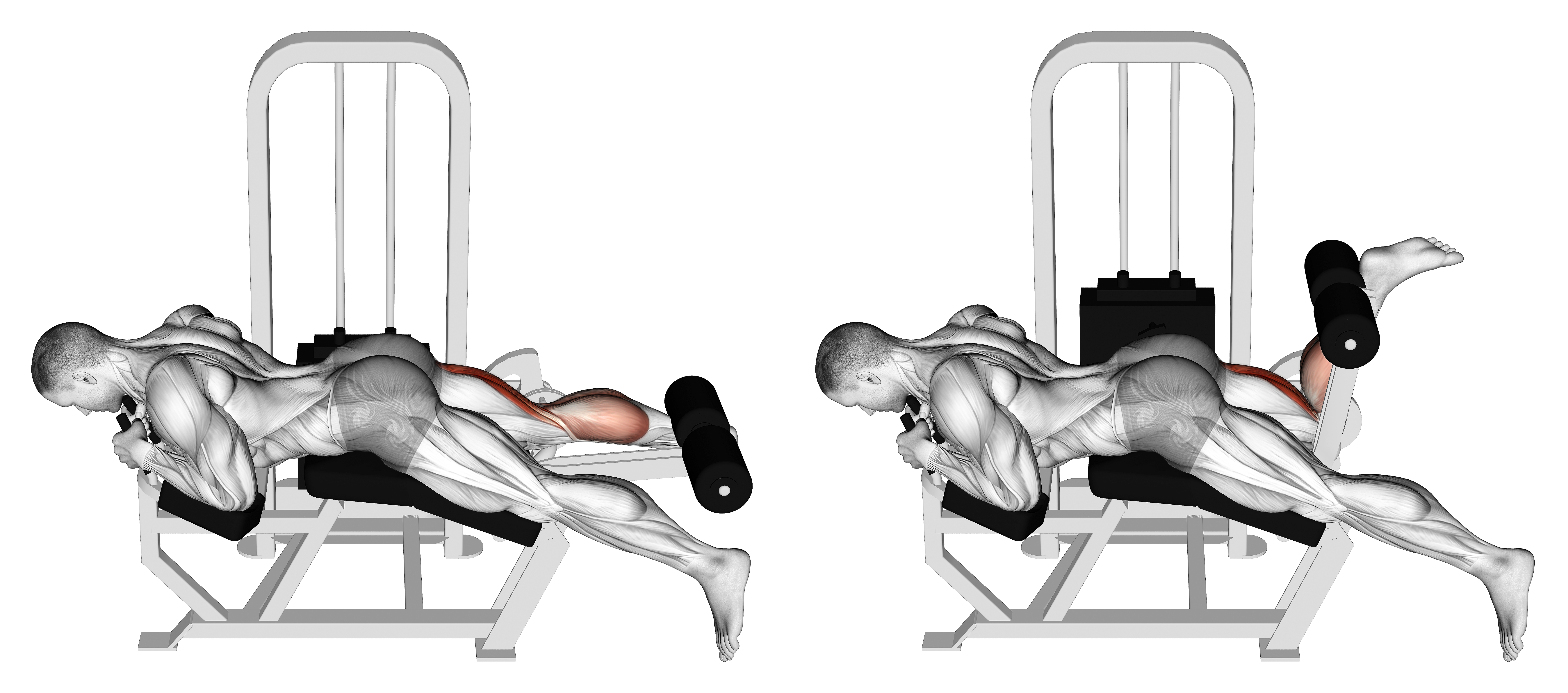 Lever Lying Single Leg Curl