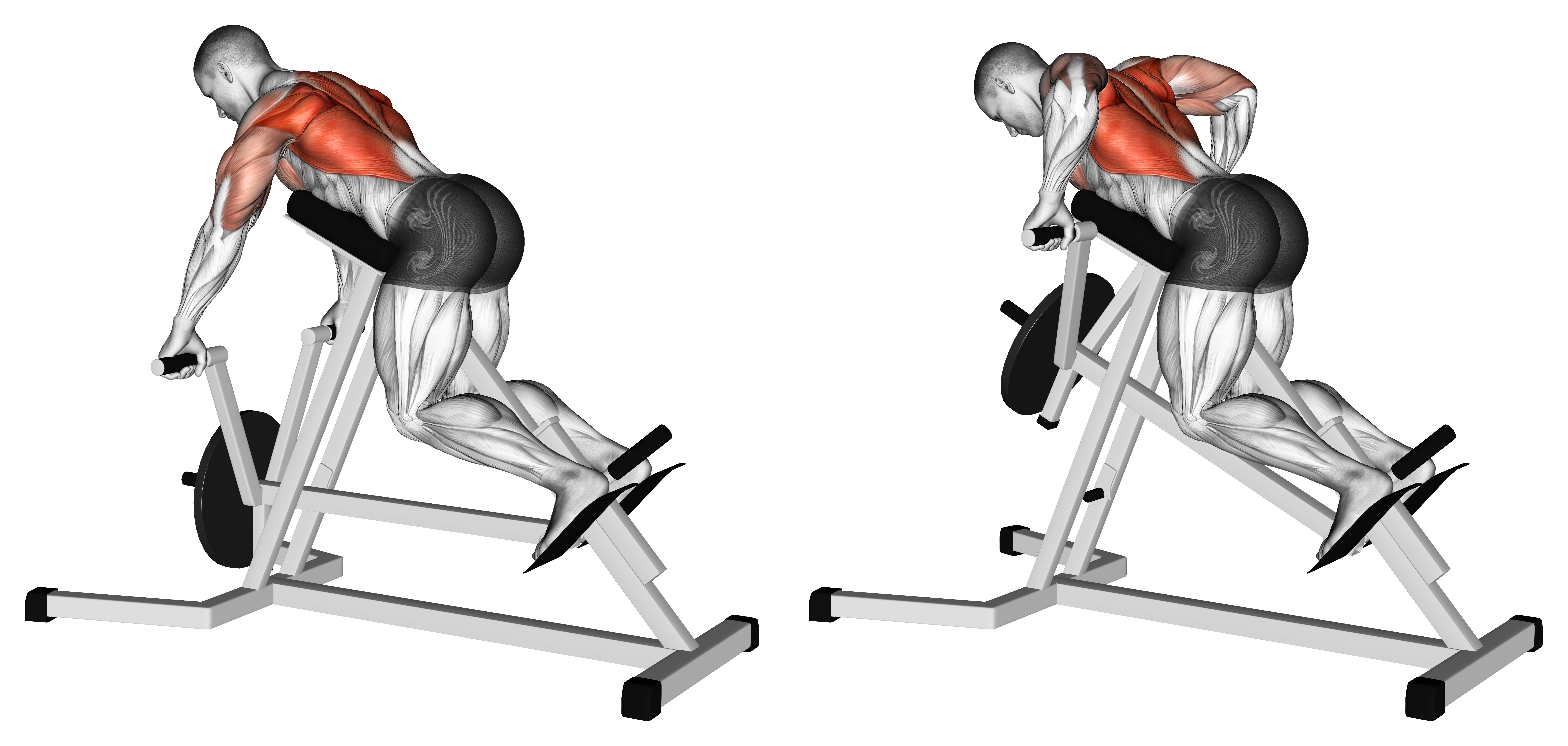 Lever Lying T Bar Row