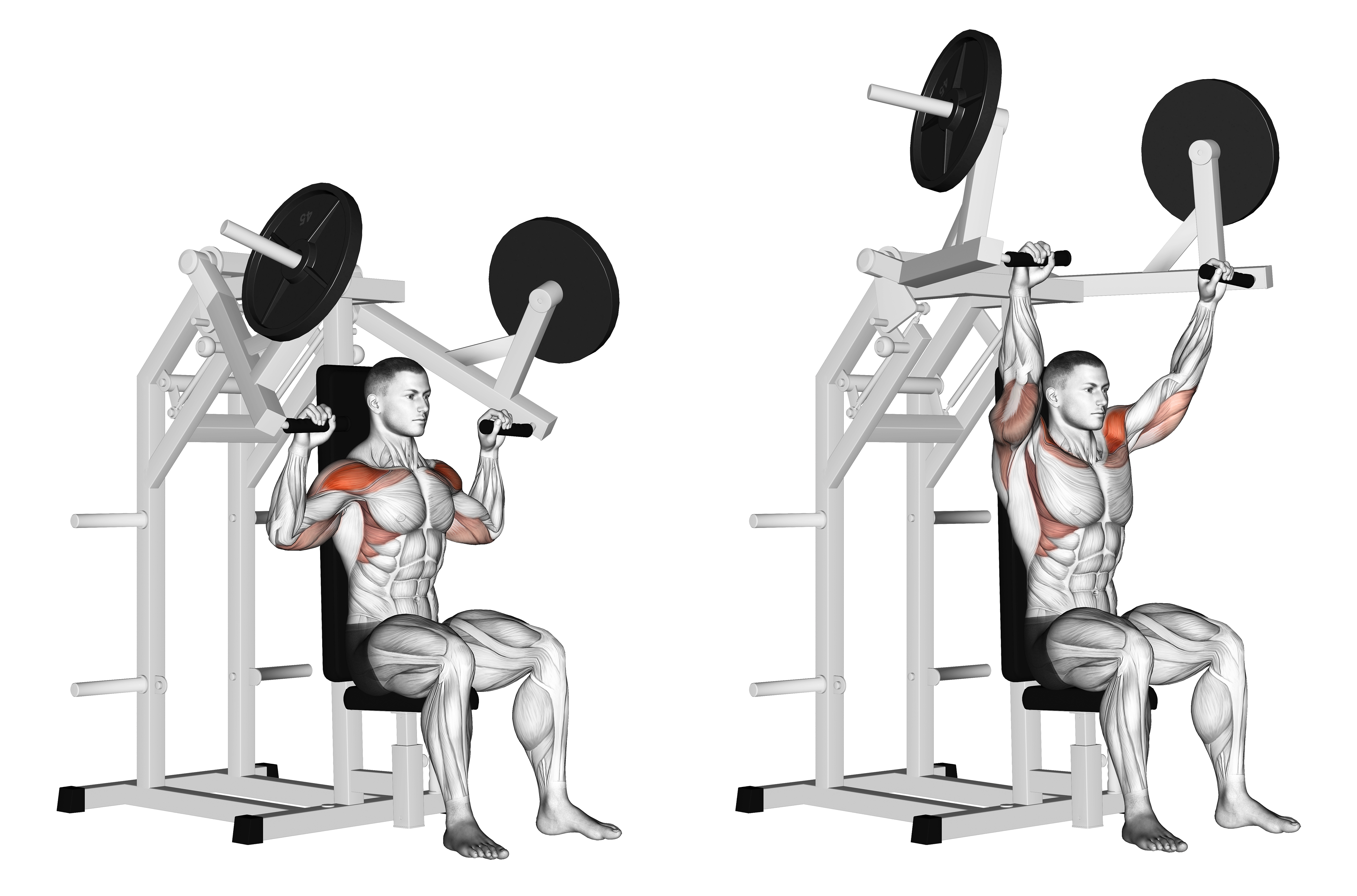 Lever Military Press (plate Loaded)
