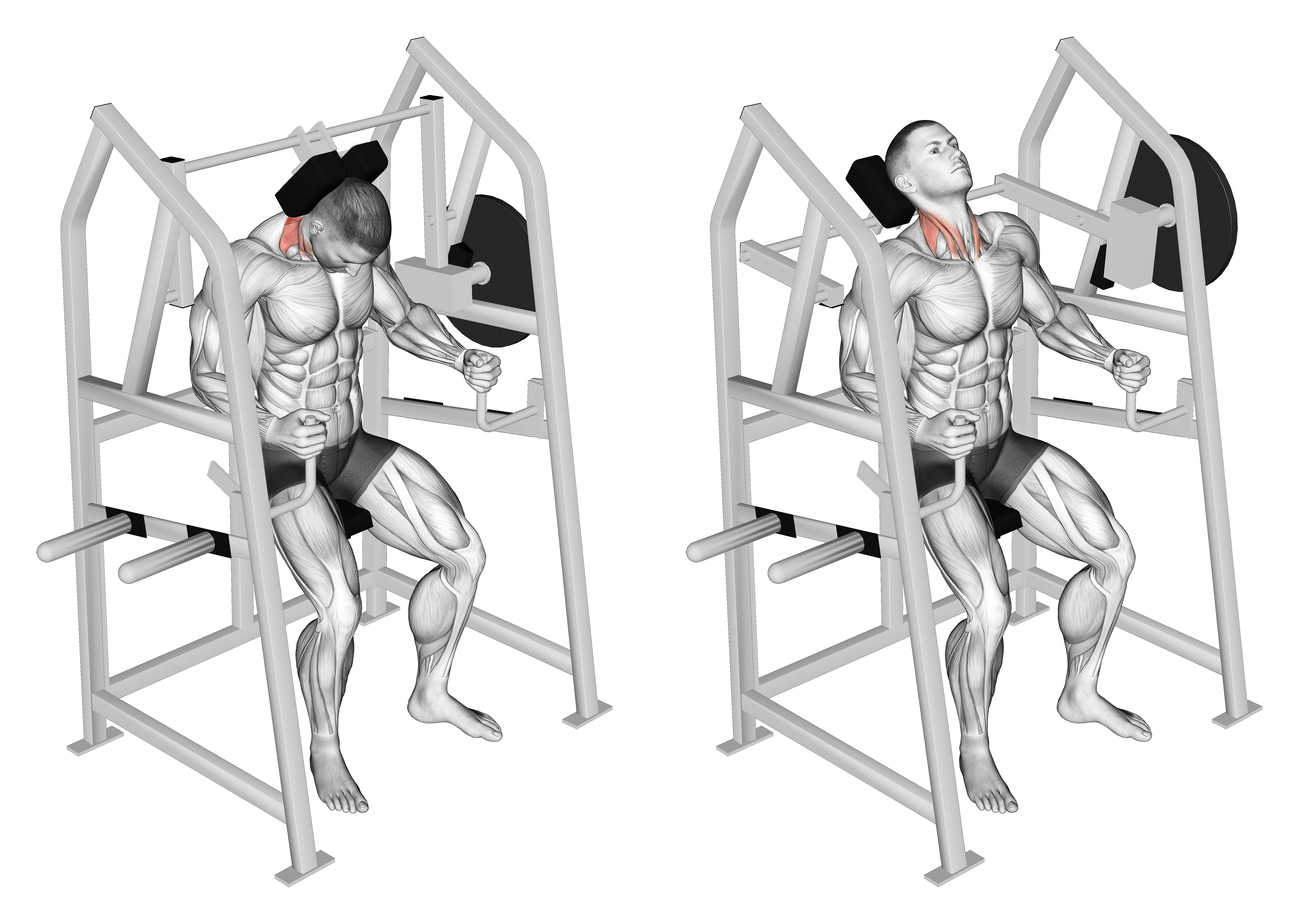 Lever Neck Extension (plate Loaded)