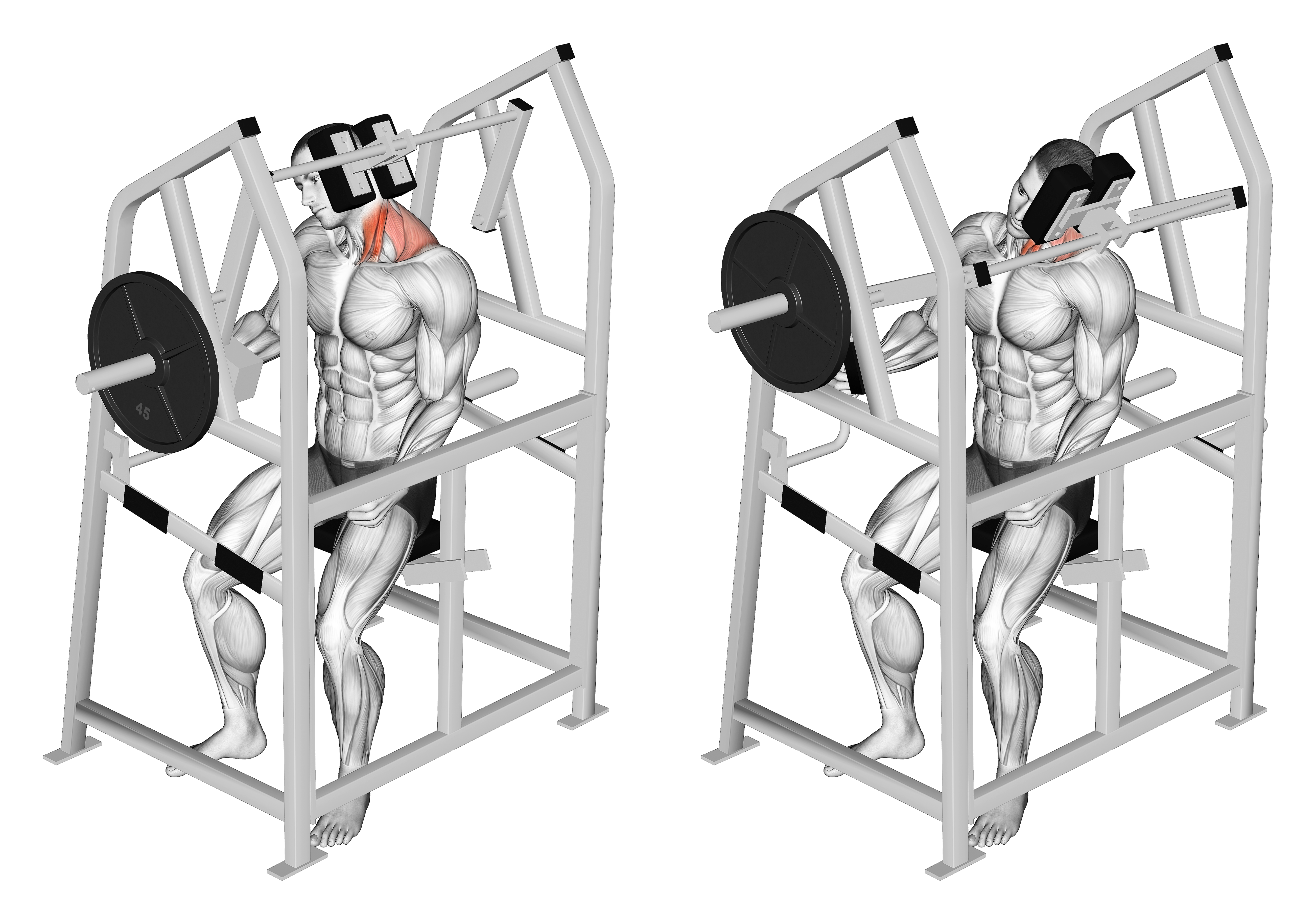 Lever Neck Left Side Flexion (plate Loaded)