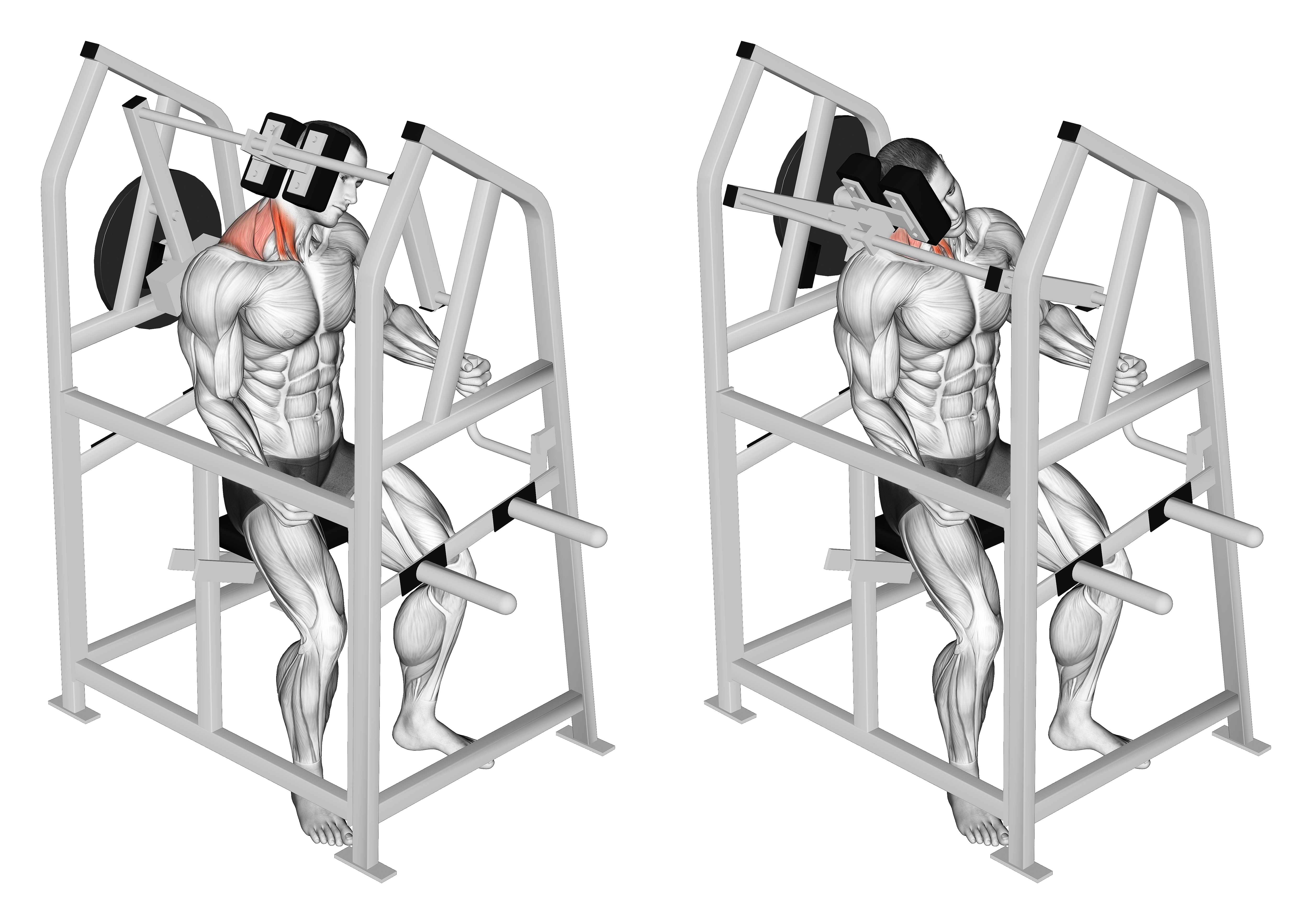 Lever Neck Right Side Flexion (plate Loaded)
