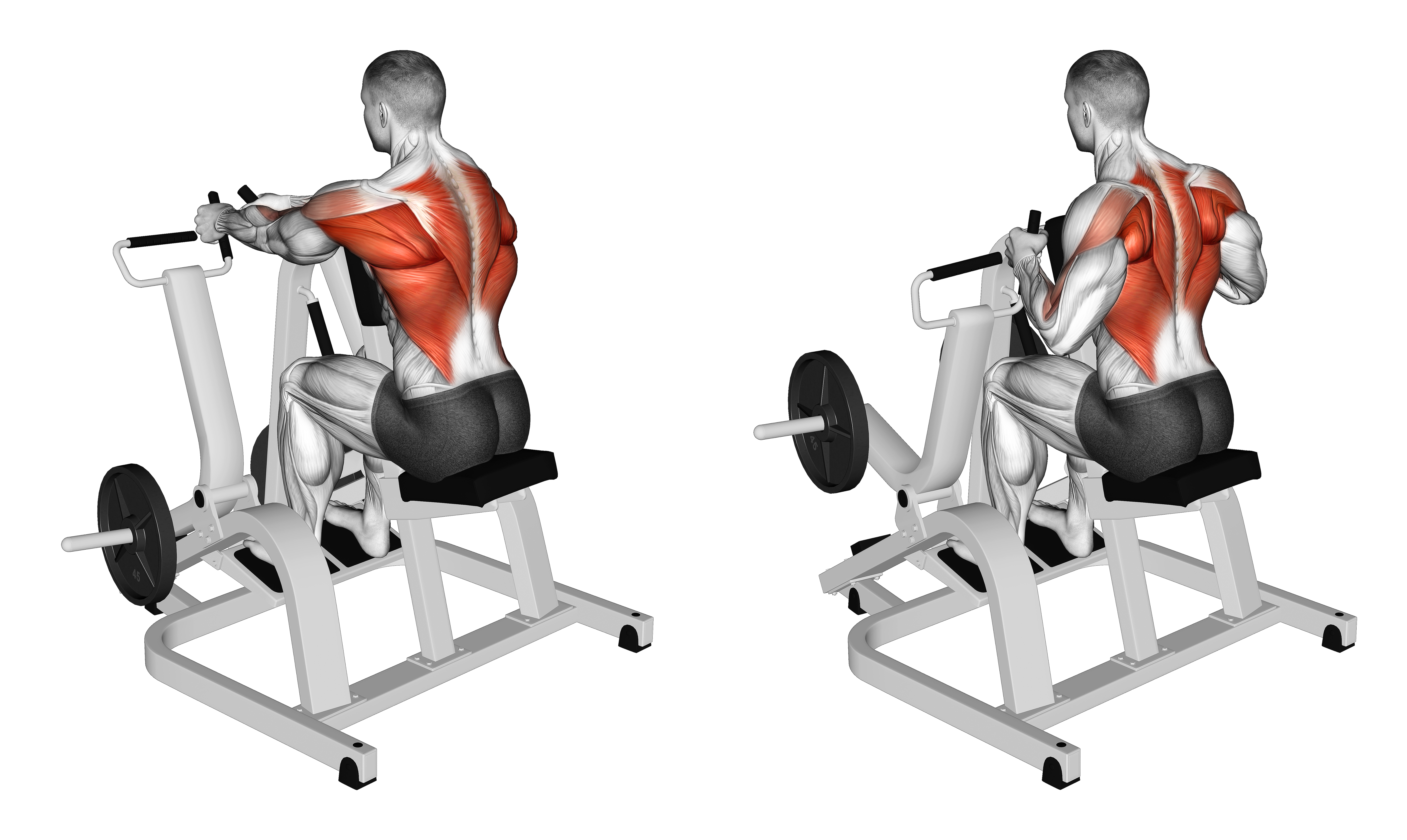 Lever Neutral Grip Seated Row (plate Loaded)