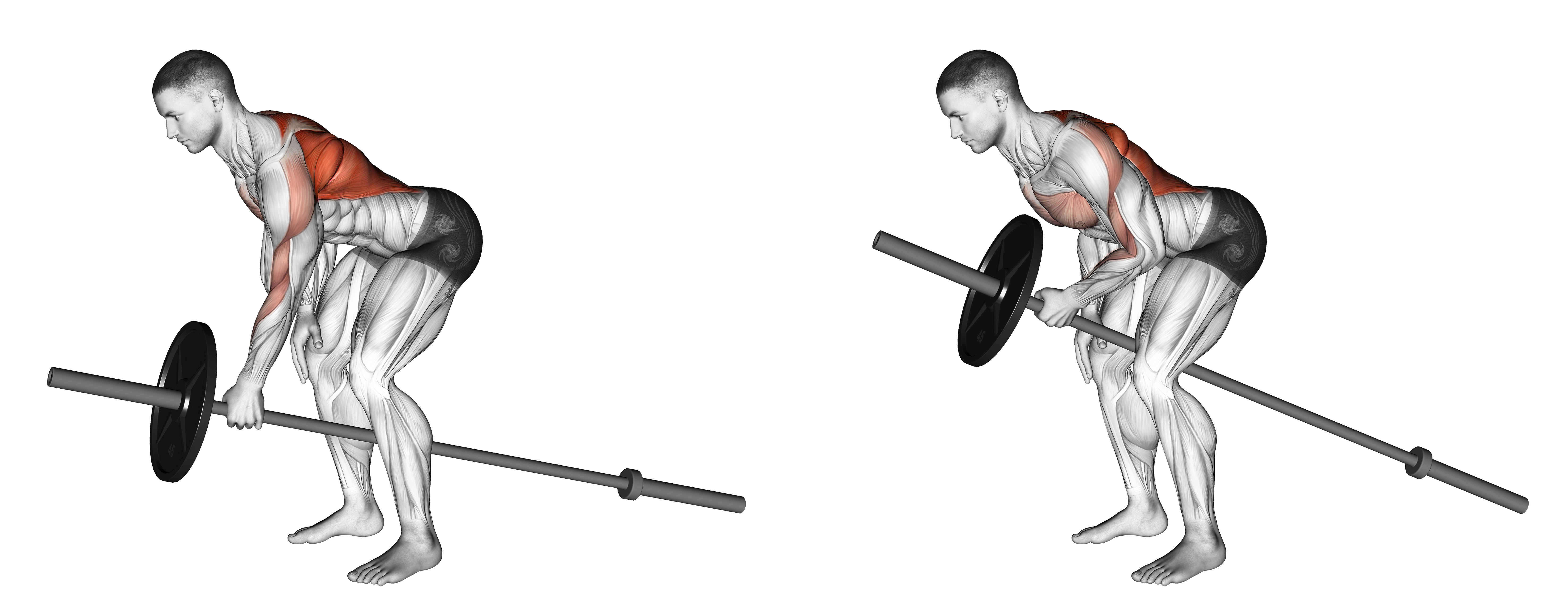 Lever One Arm Bent Over Row (plate Loaded)