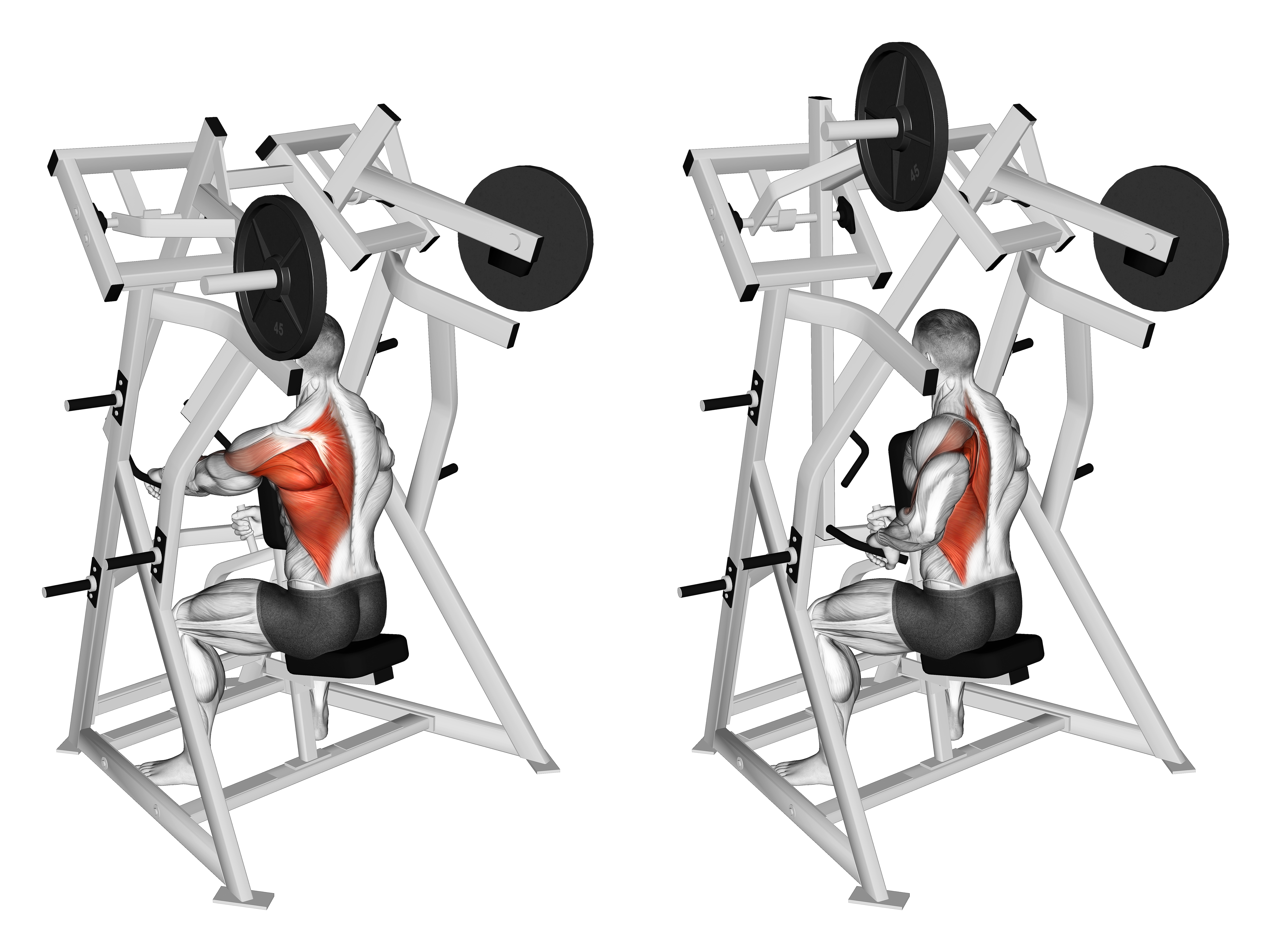 Lever One Arm Low Row (plate Loaded)