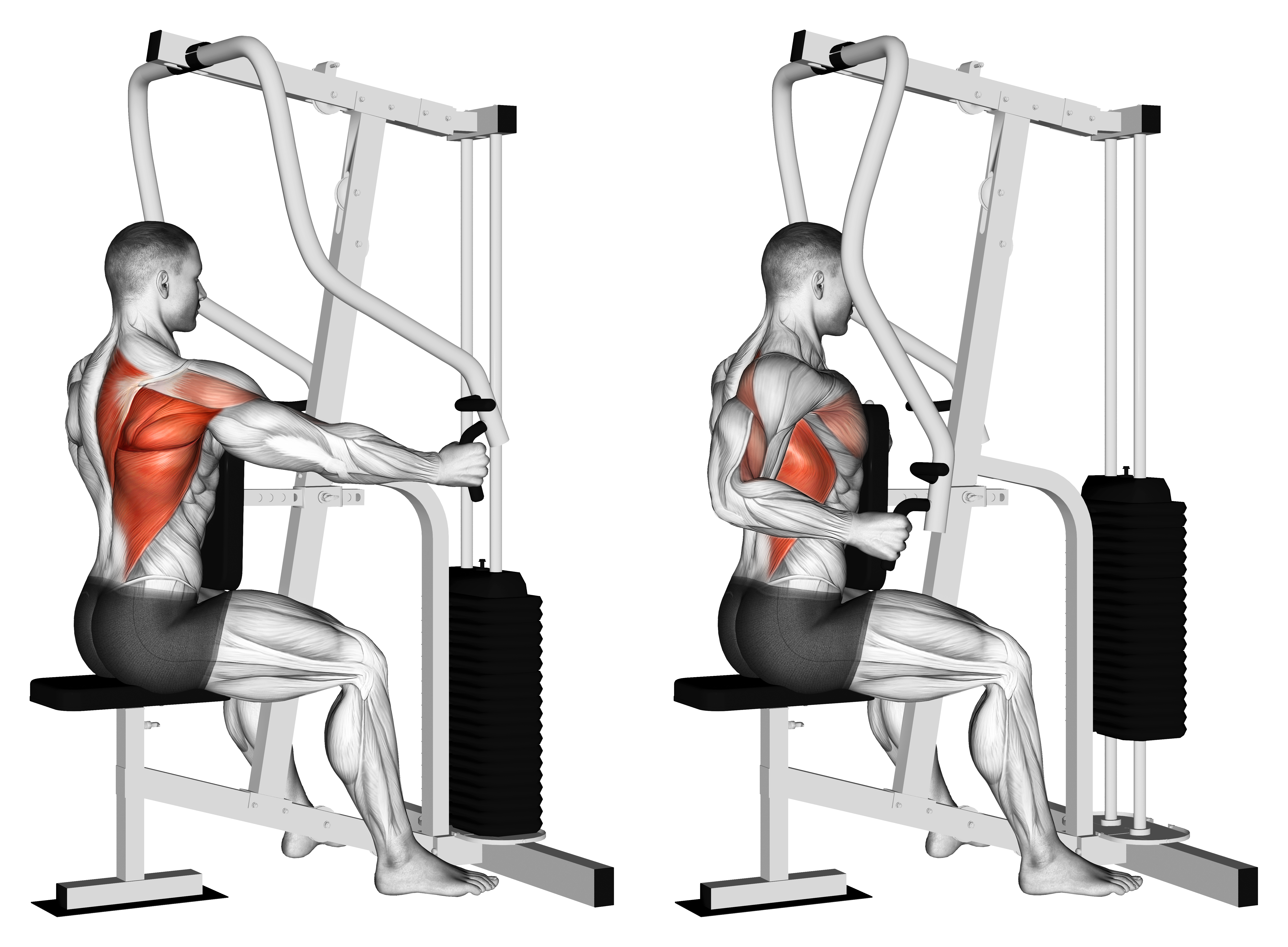 Lever One Arm Seated Row (seated Row Machine)